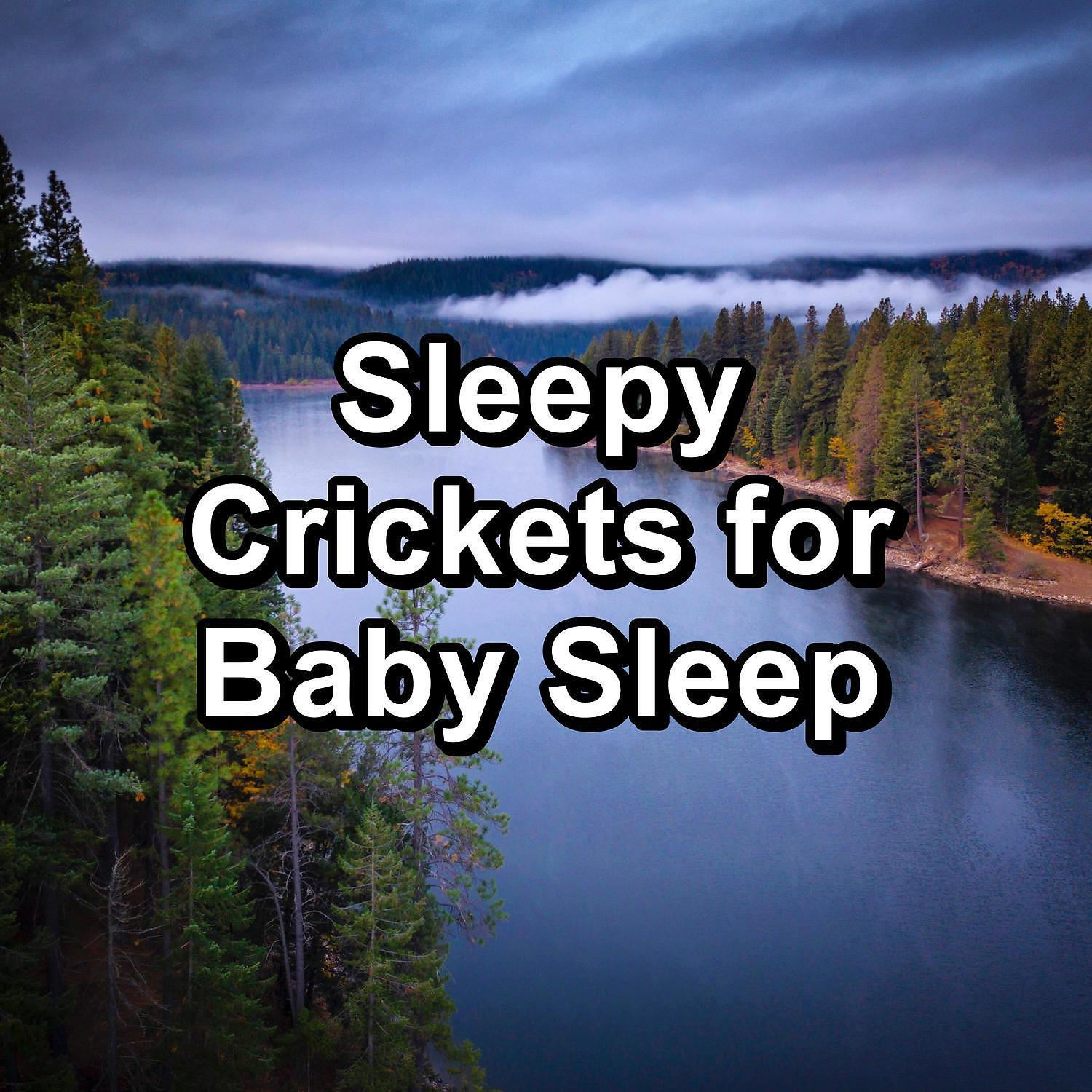 Crickets - Tinnitus Sleep Solution - Insomnia Help Woods