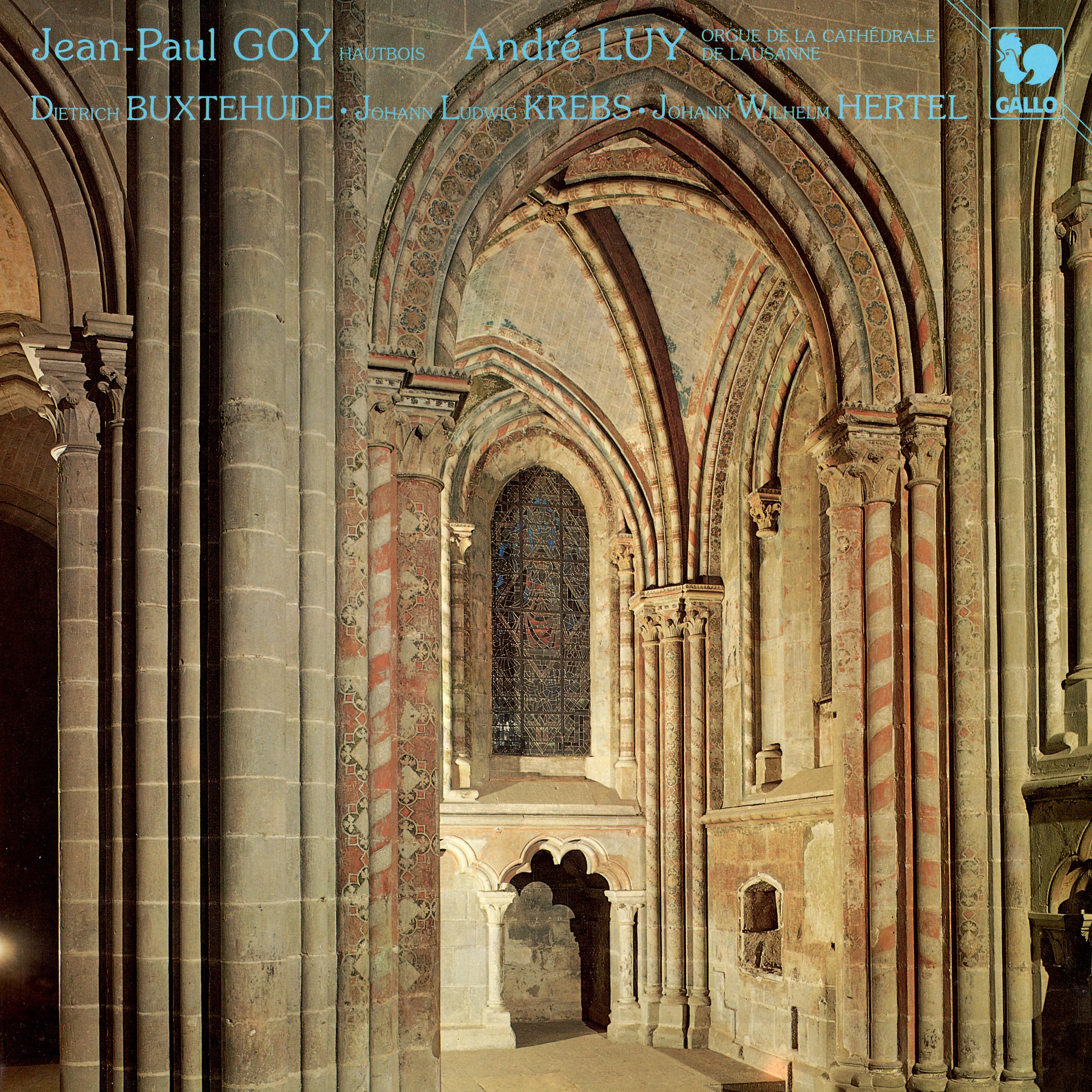 Постер альбома Buxtehude - Hertel - Krebs: Pieces for Oboe and Organ