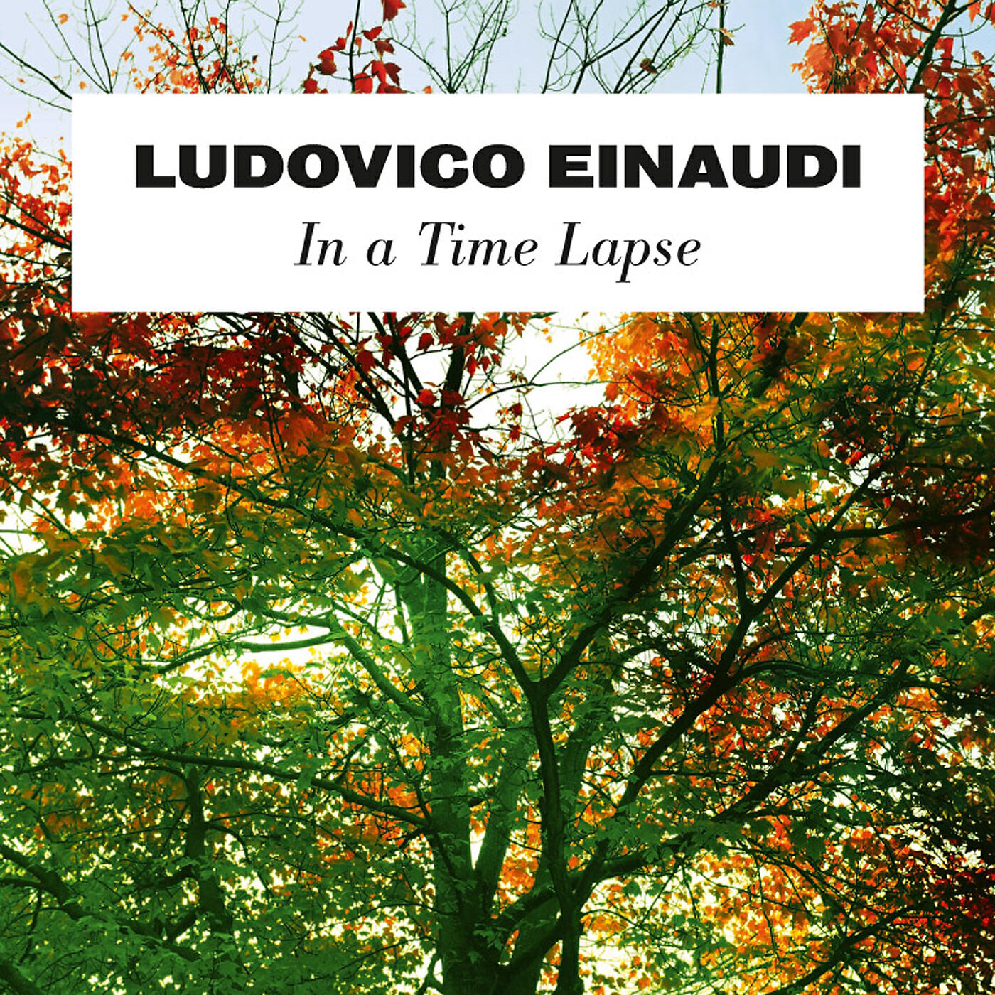 Ludovico Einaudi - Einaudi: Time Lapse