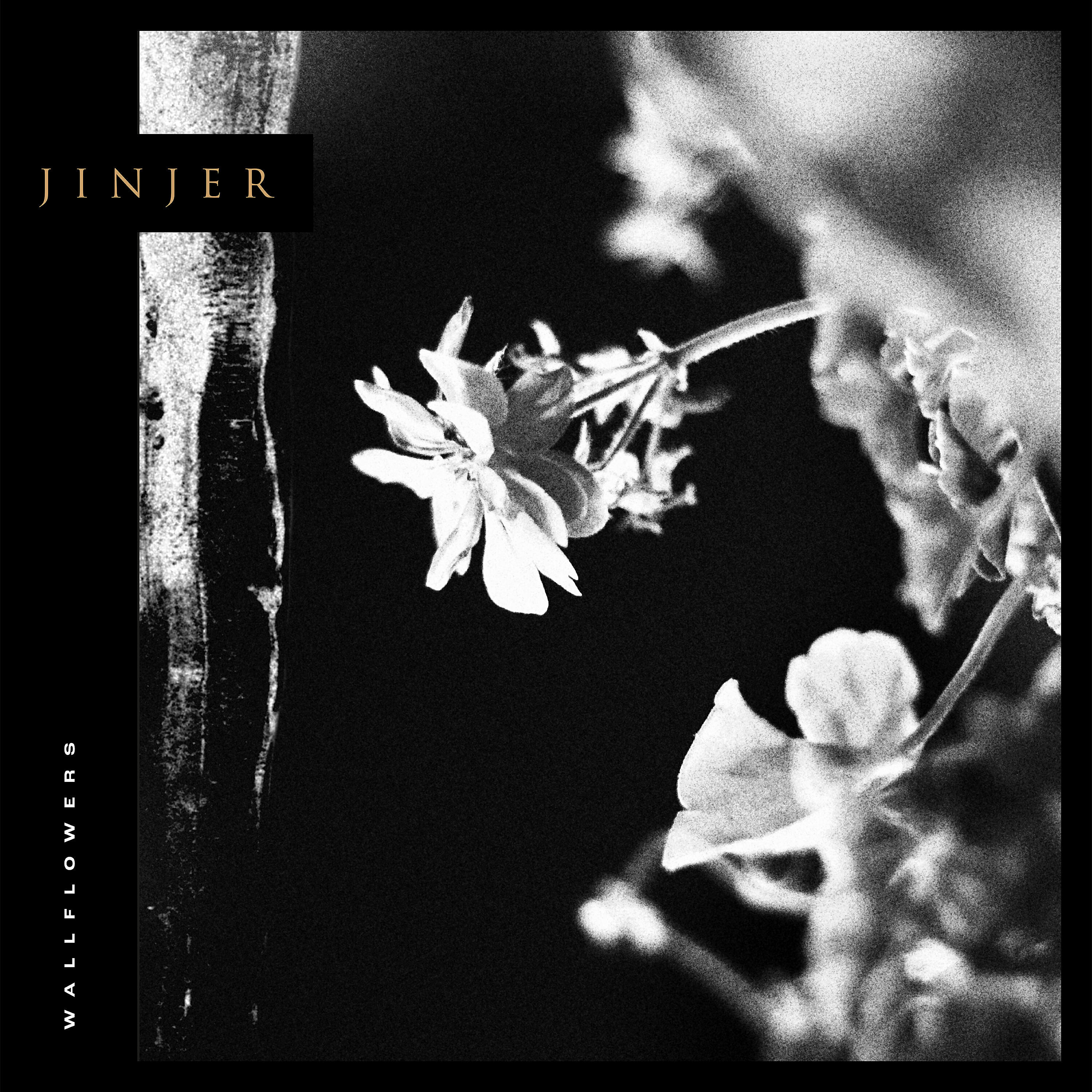 JINJER - Call Me a Symbol