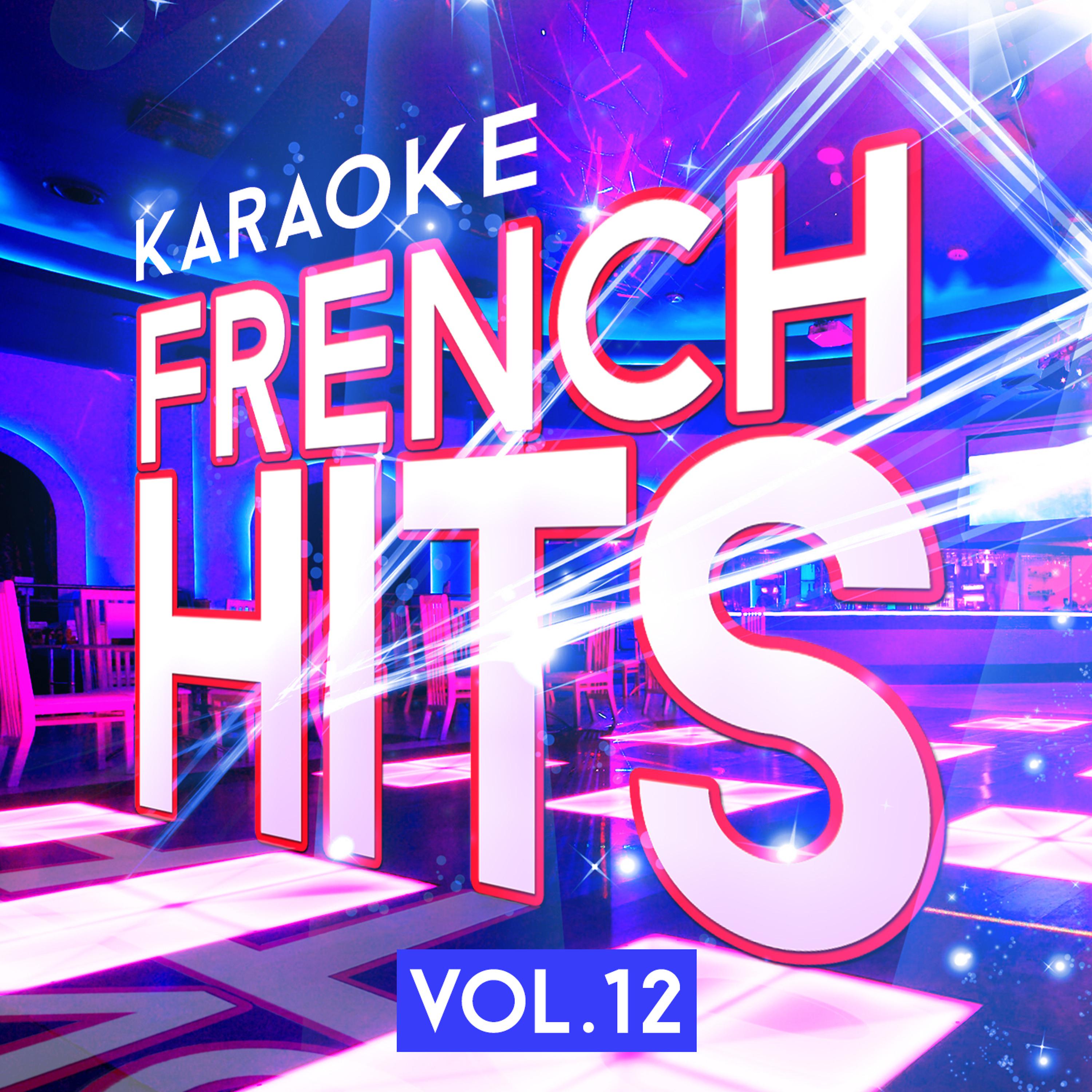 Постер альбома Karaoke - French Hits, Vol 12