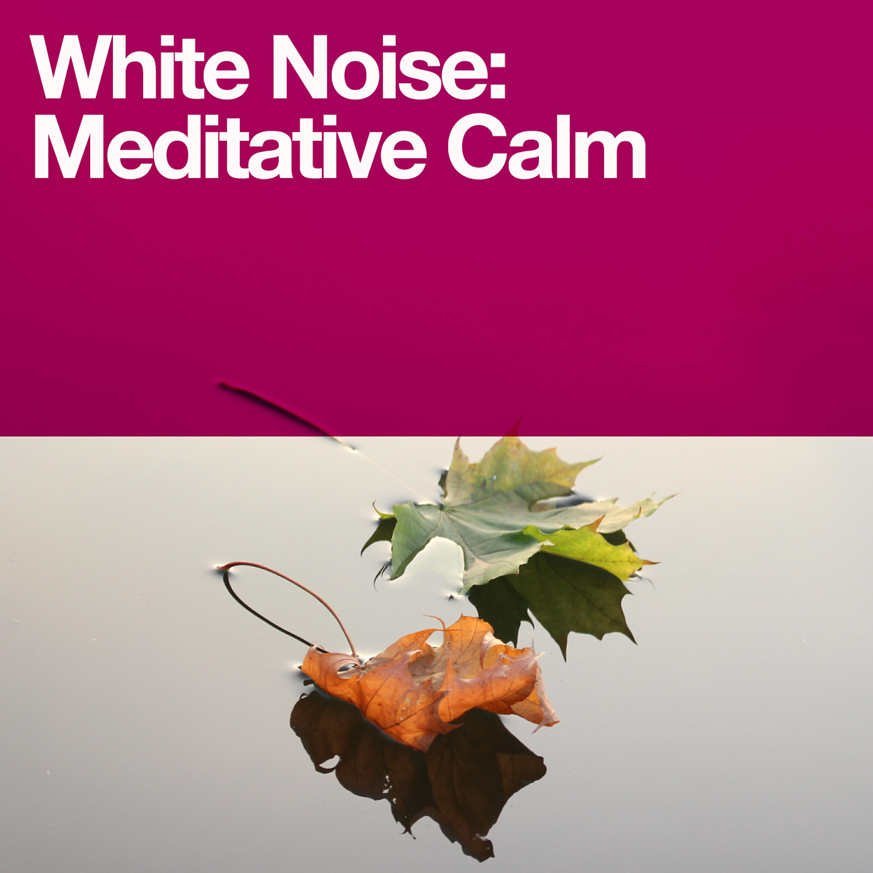Outside Broadcast Recordings - White Noise: Pulsing
