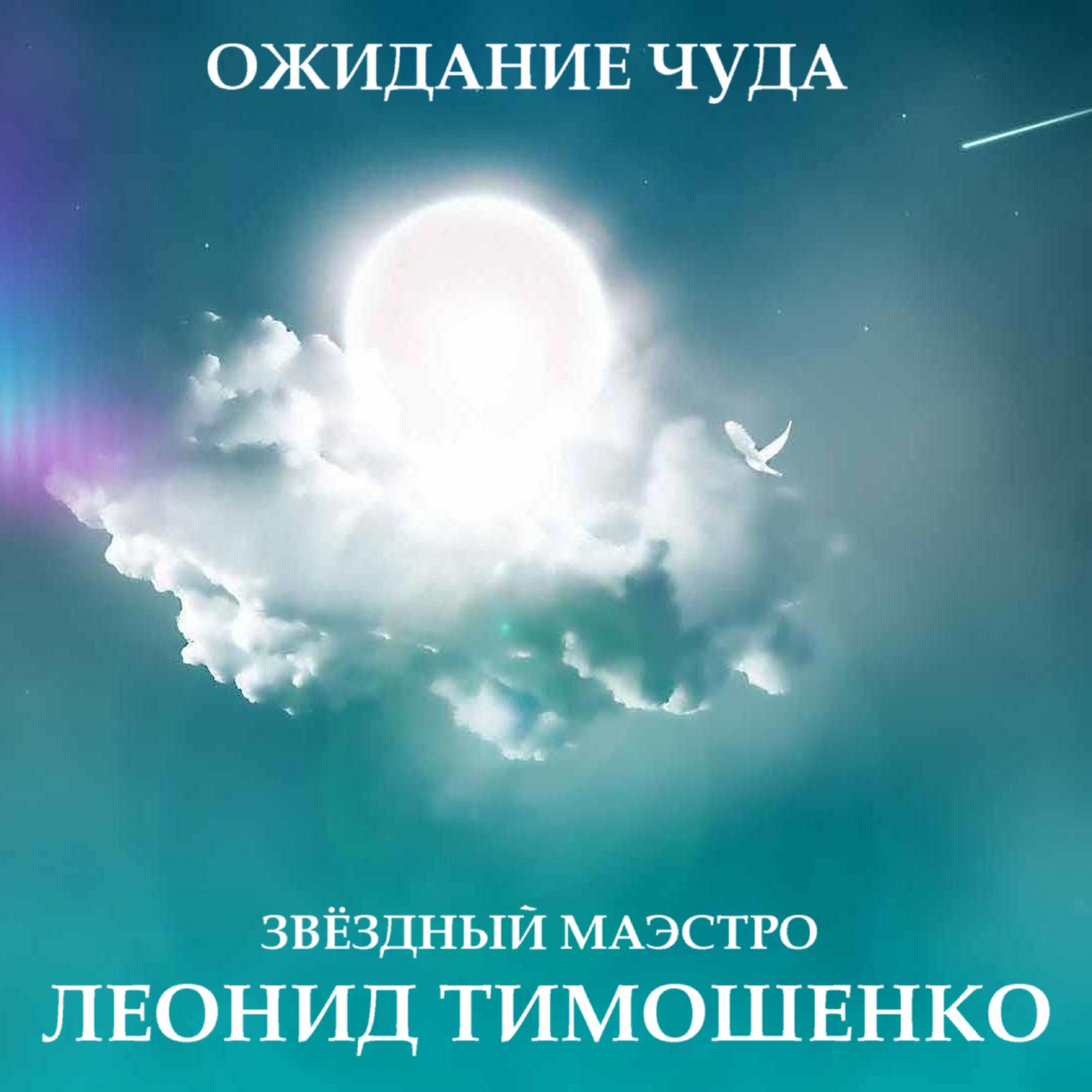 Постер альбома Звездный маэстро Леонид Тимошенко. Ожидание чуда