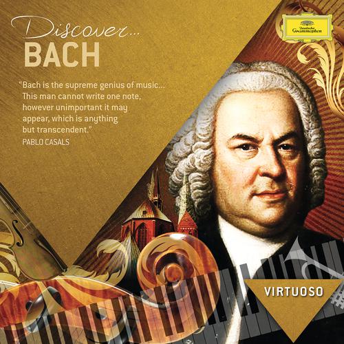 Постер альбома Discover Bach
