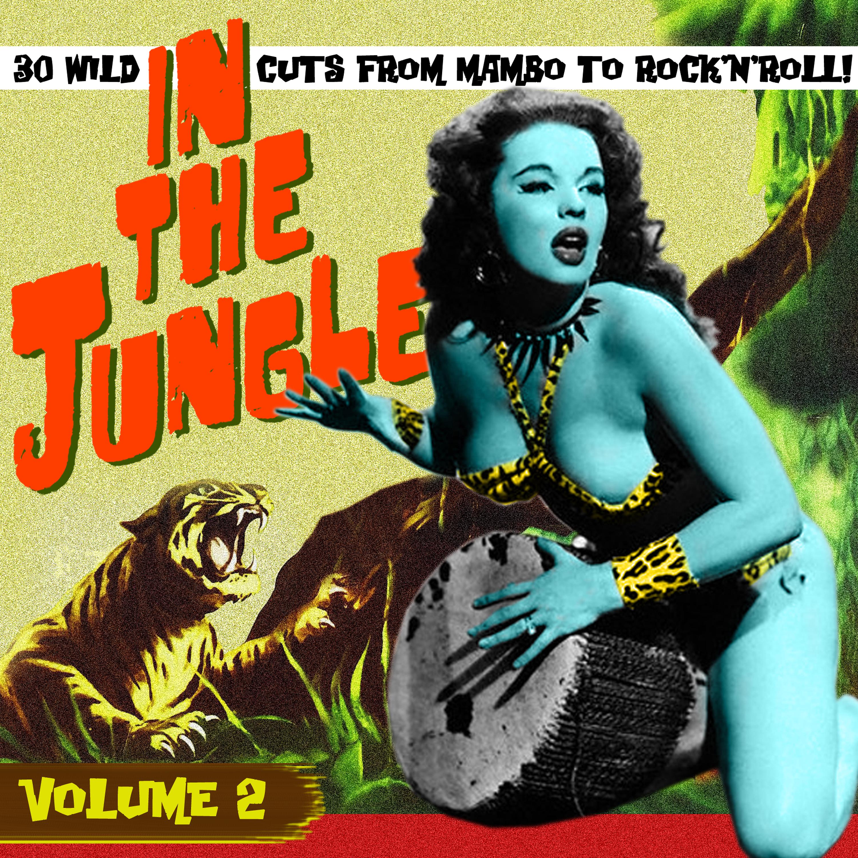 Постер альбома In the Jungle Vol. 2