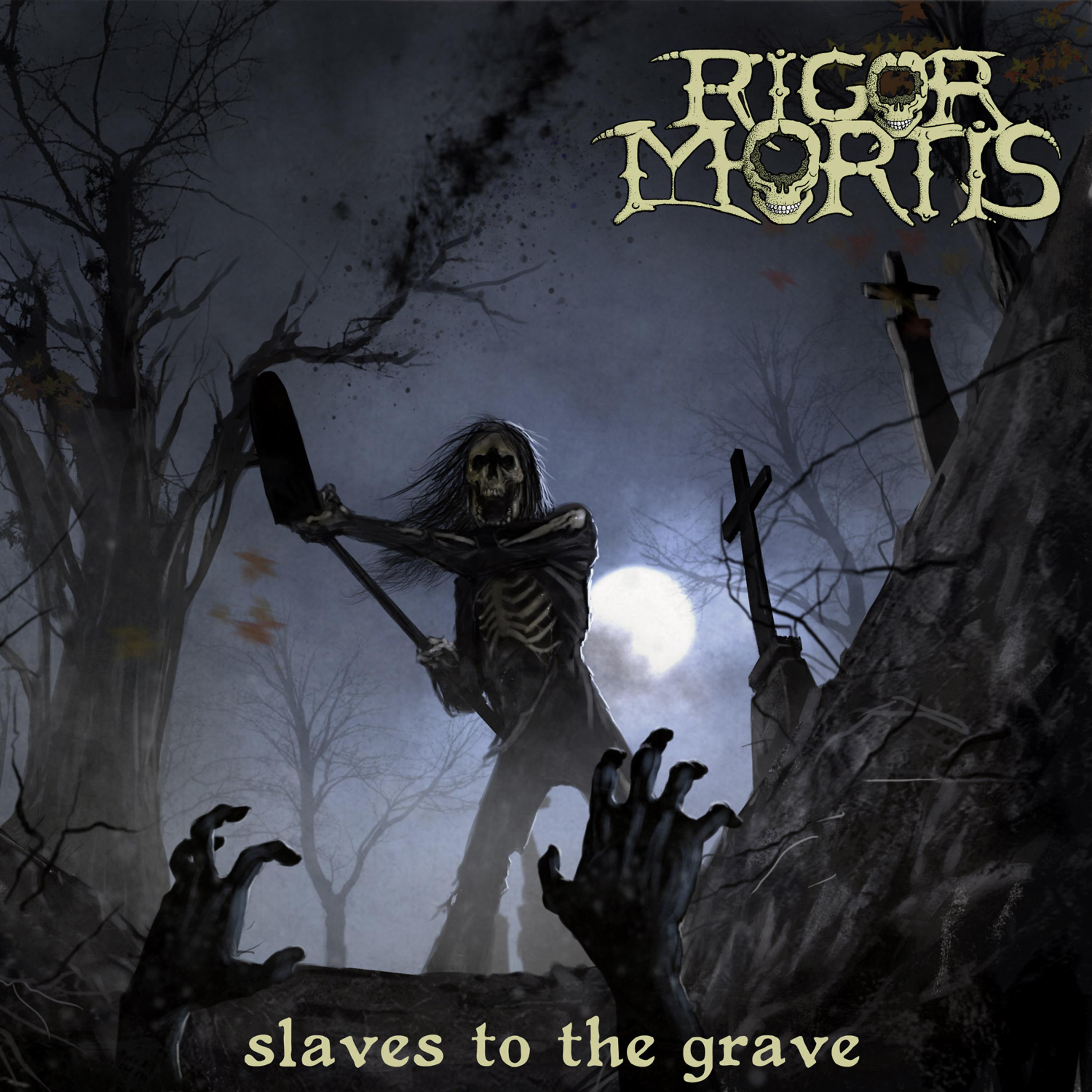 Постер альбома Slaves to the Grave