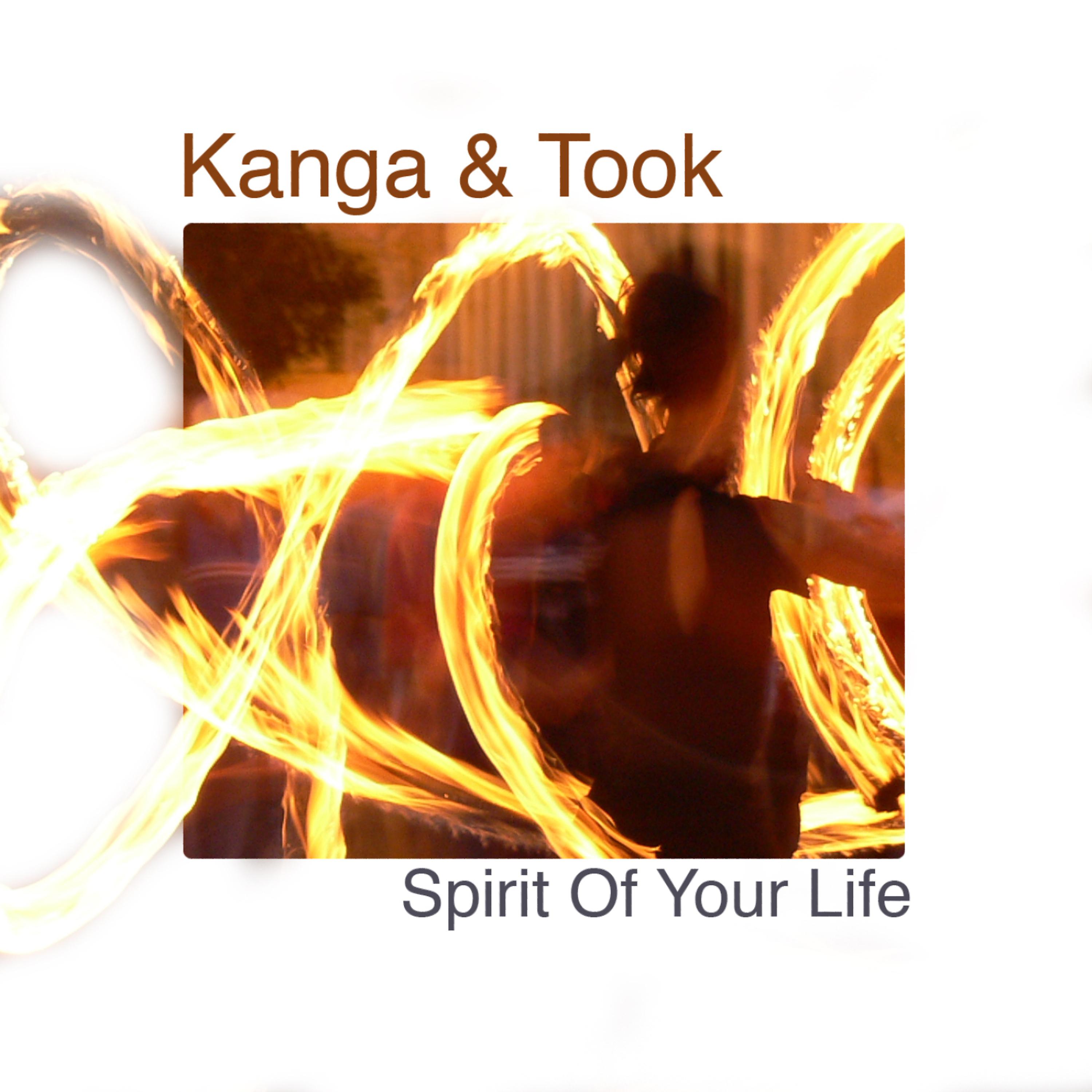 Постер альбома Spirit Of Your Life - Single