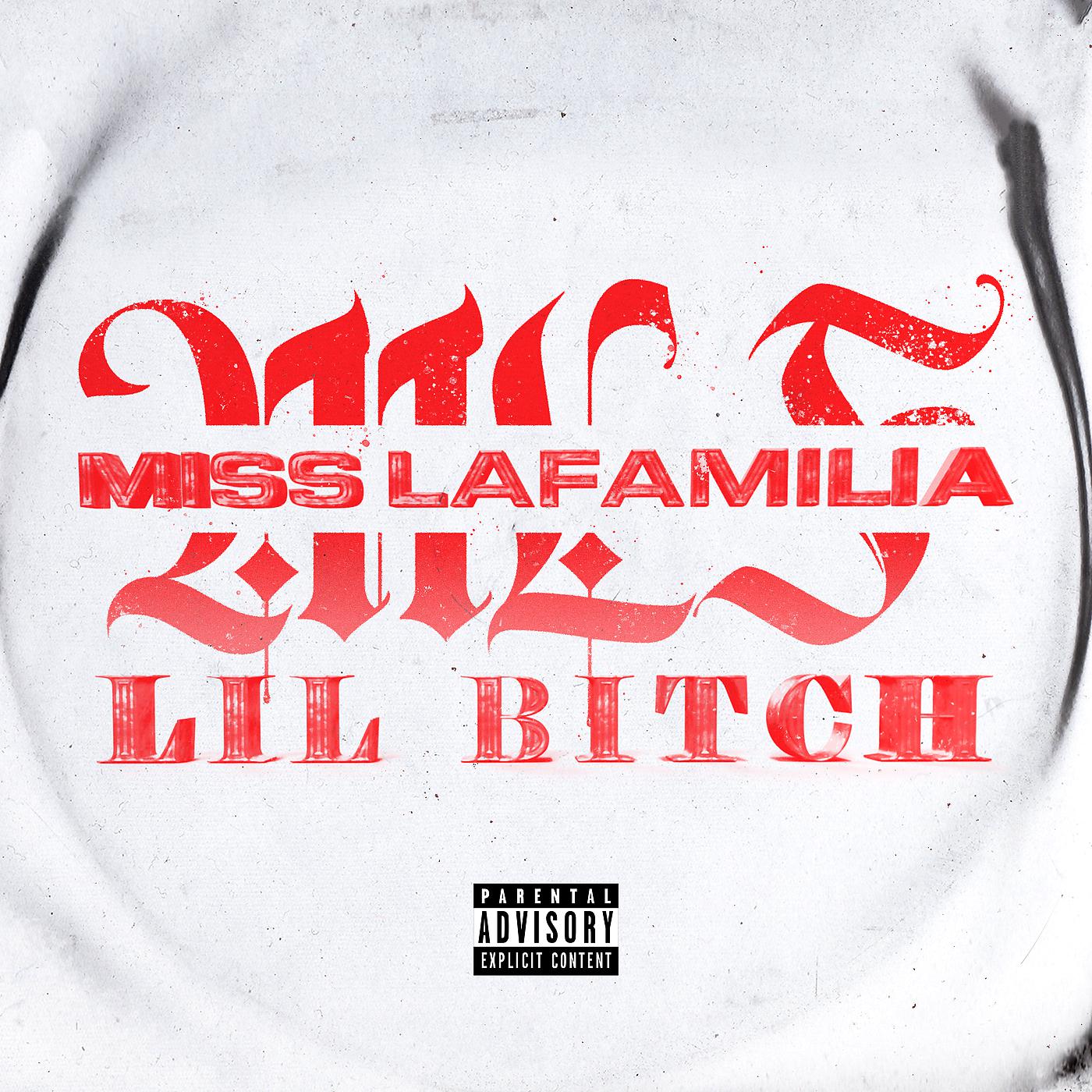 Постер альбома Lil Bitch