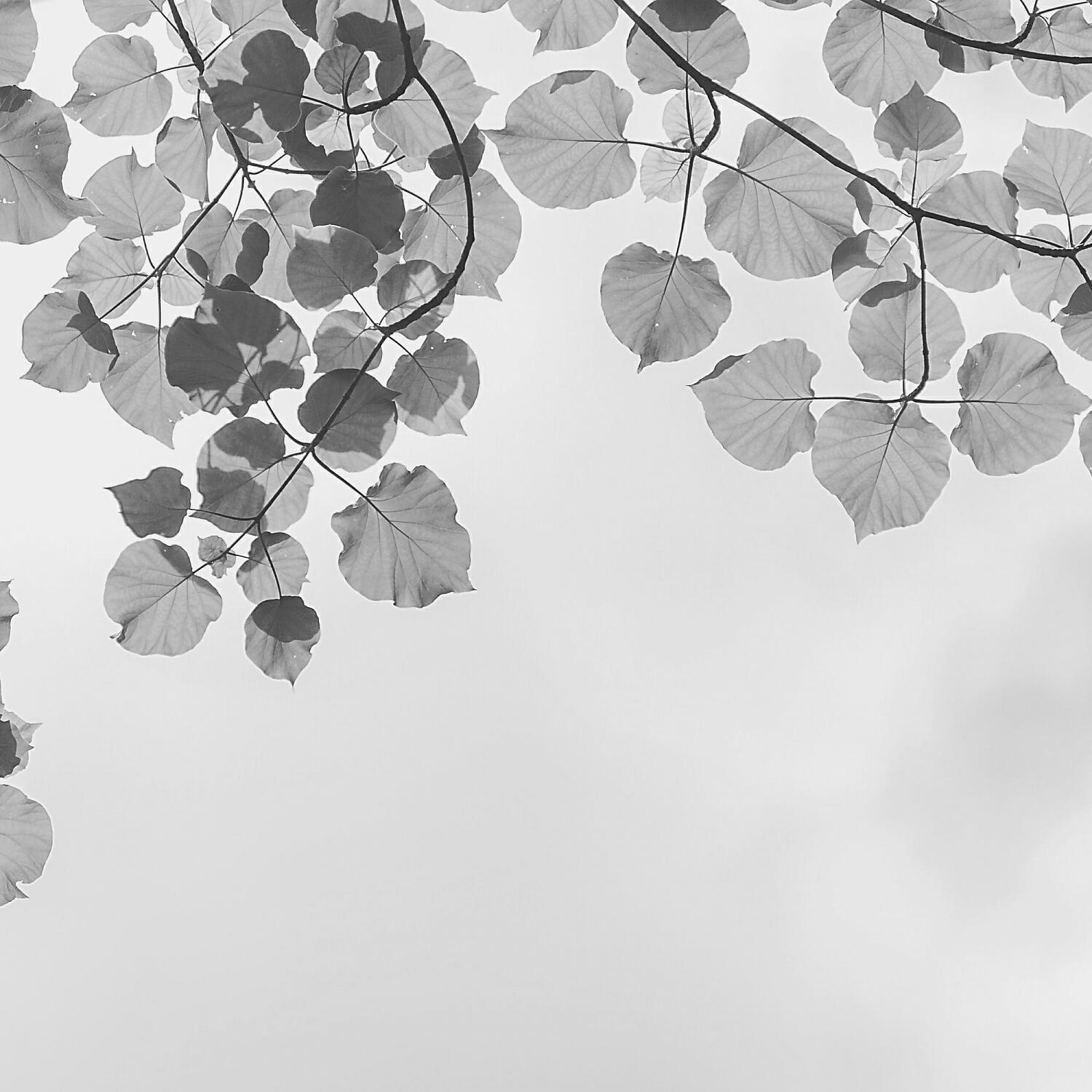 Armenian Duduk Radio - Sublime Duduk and Piano - Vibe for Morning Meditation