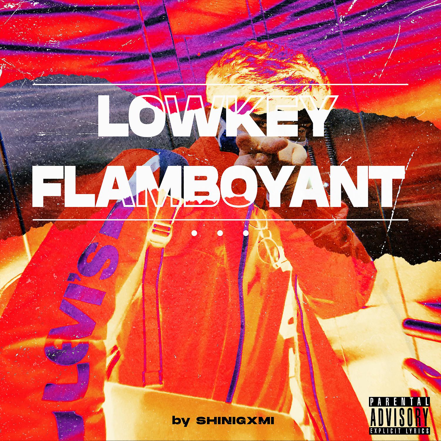Постер альбома LOWKEY FLAMBOYANT