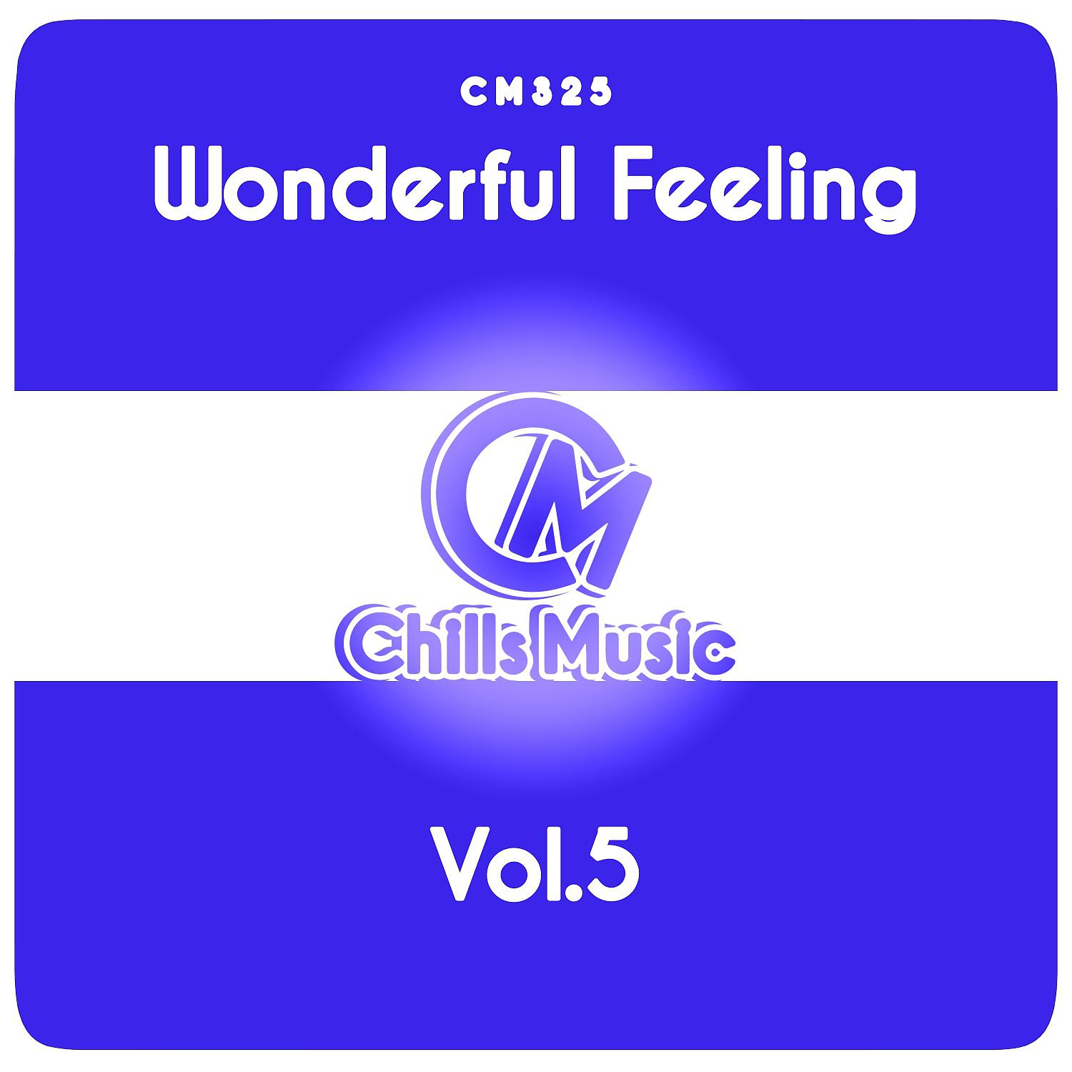 Постер альбома Wonderful Feeling, Vol.5