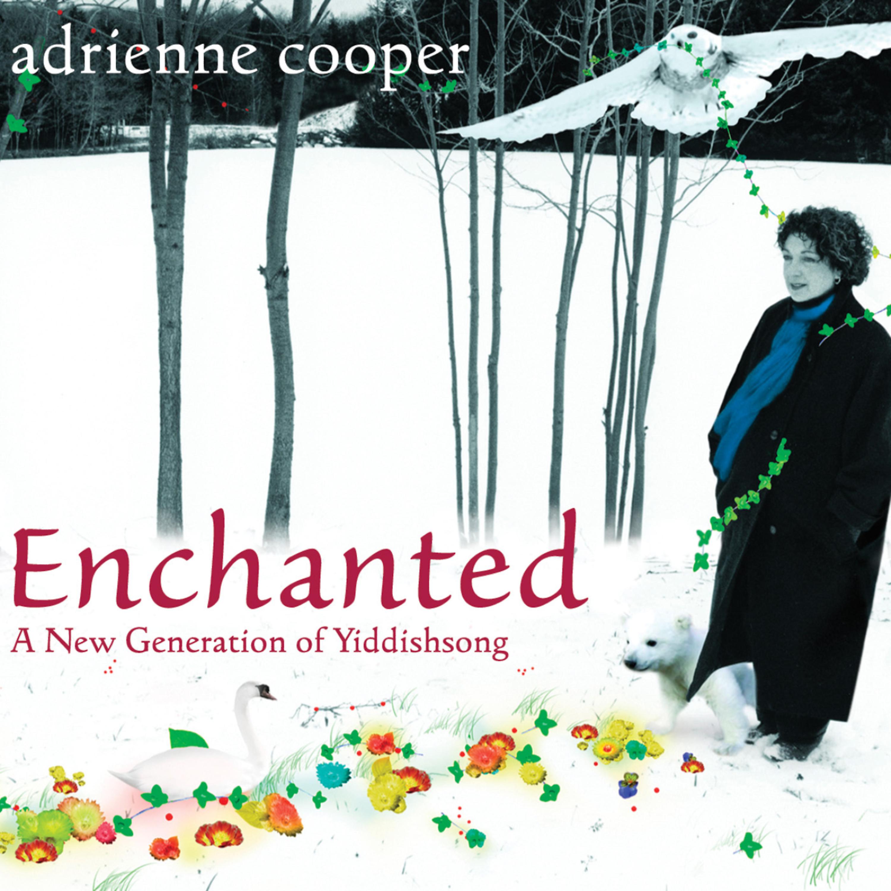 Постер альбома Enchanted: A New Generation of Yiddishsong