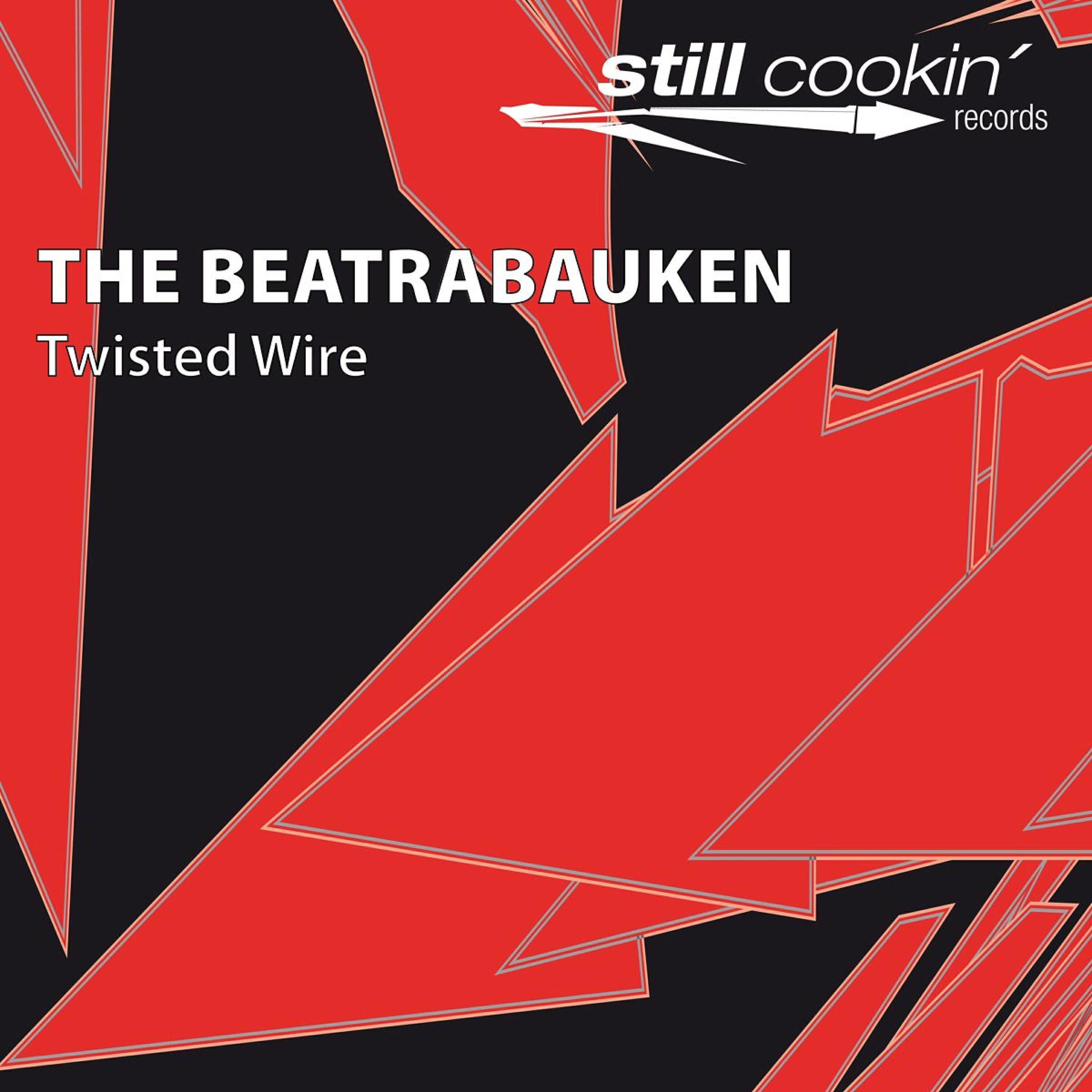 The Beatrabauken - Twisted Wires (Bjoern Nafe Remix)