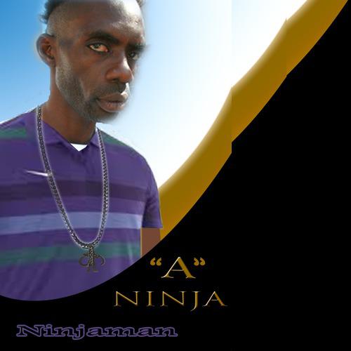 Постер альбома A Ninja - Single