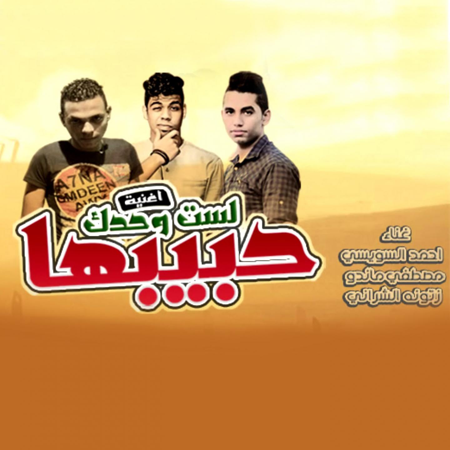 Постер альбома مهرجان لست وحدك حبيبها