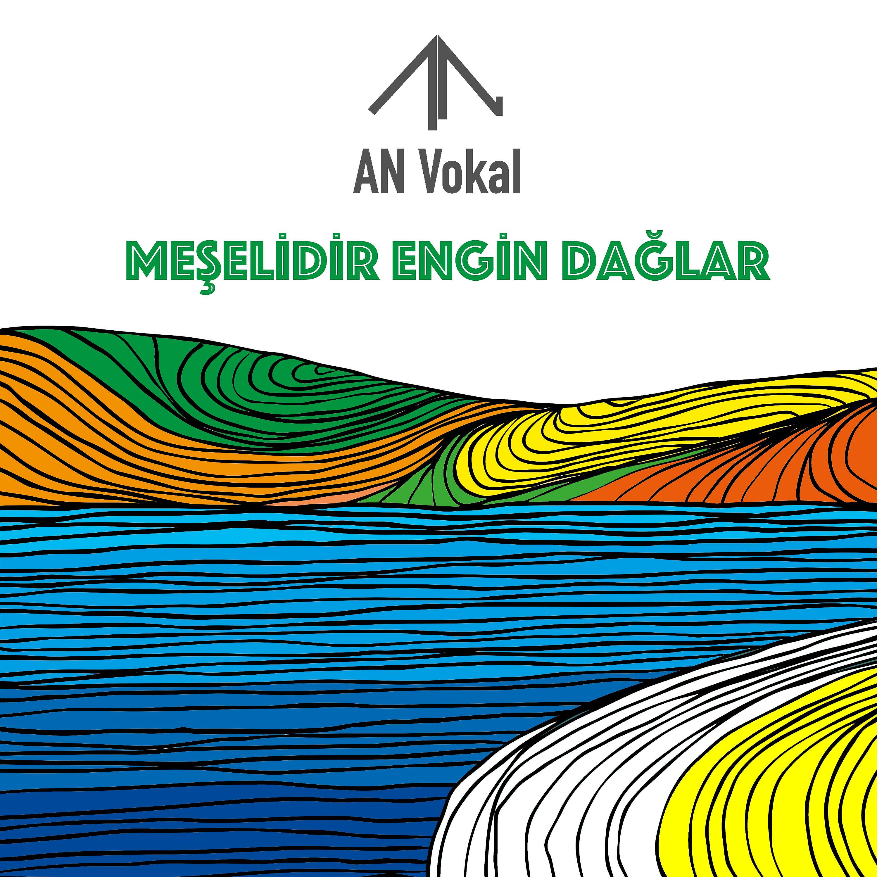 Постер альбома Meşelidir Engin Dağlar