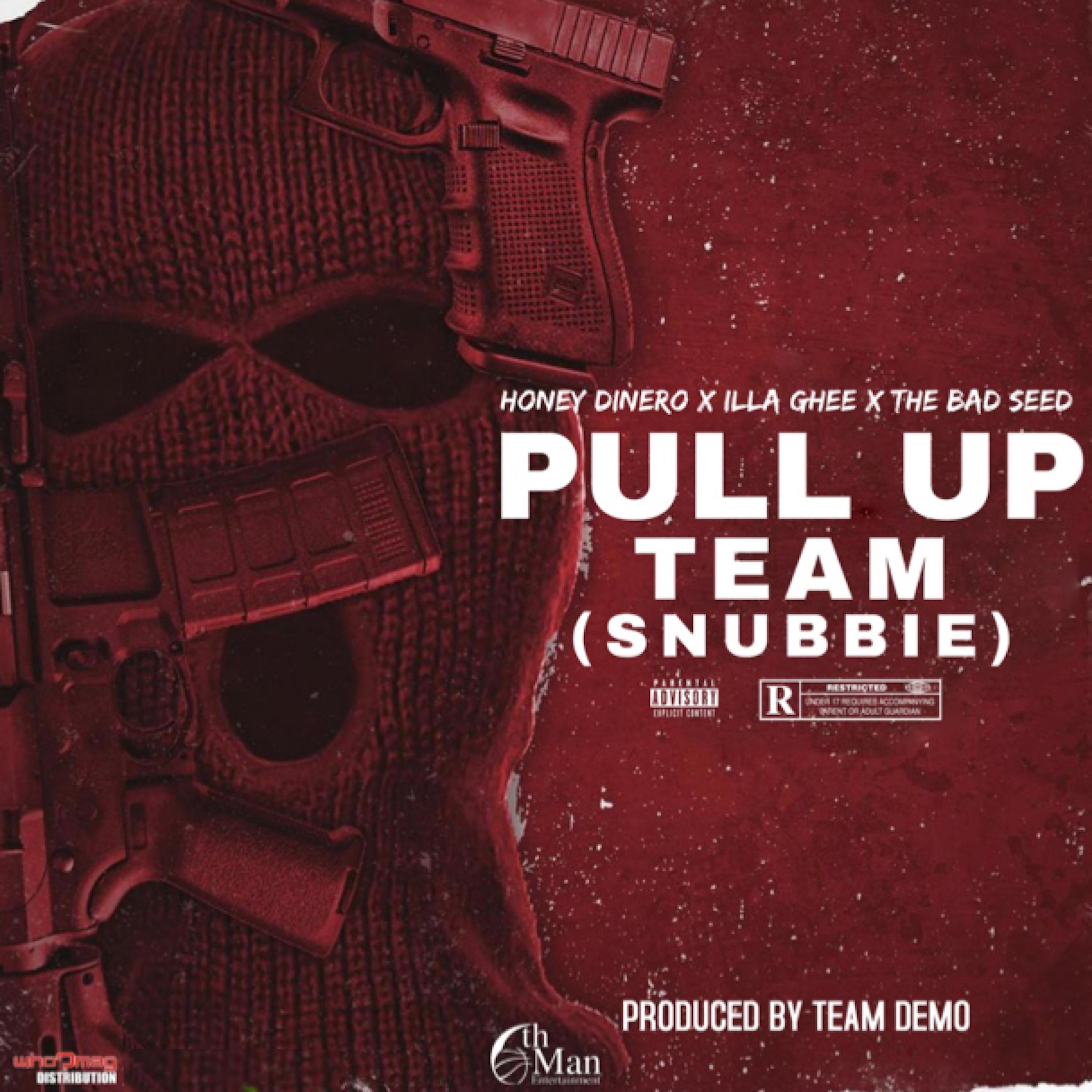 Постер альбома Pull up Team (Snubbie)