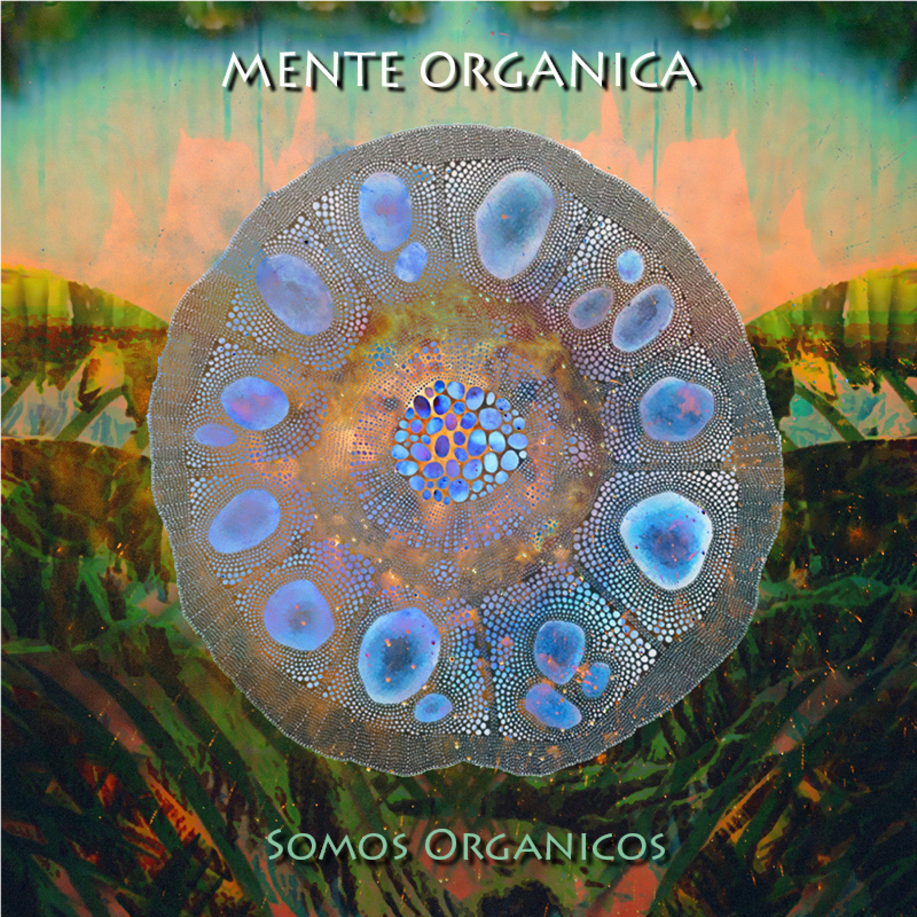 Постер альбома Somos Organicos