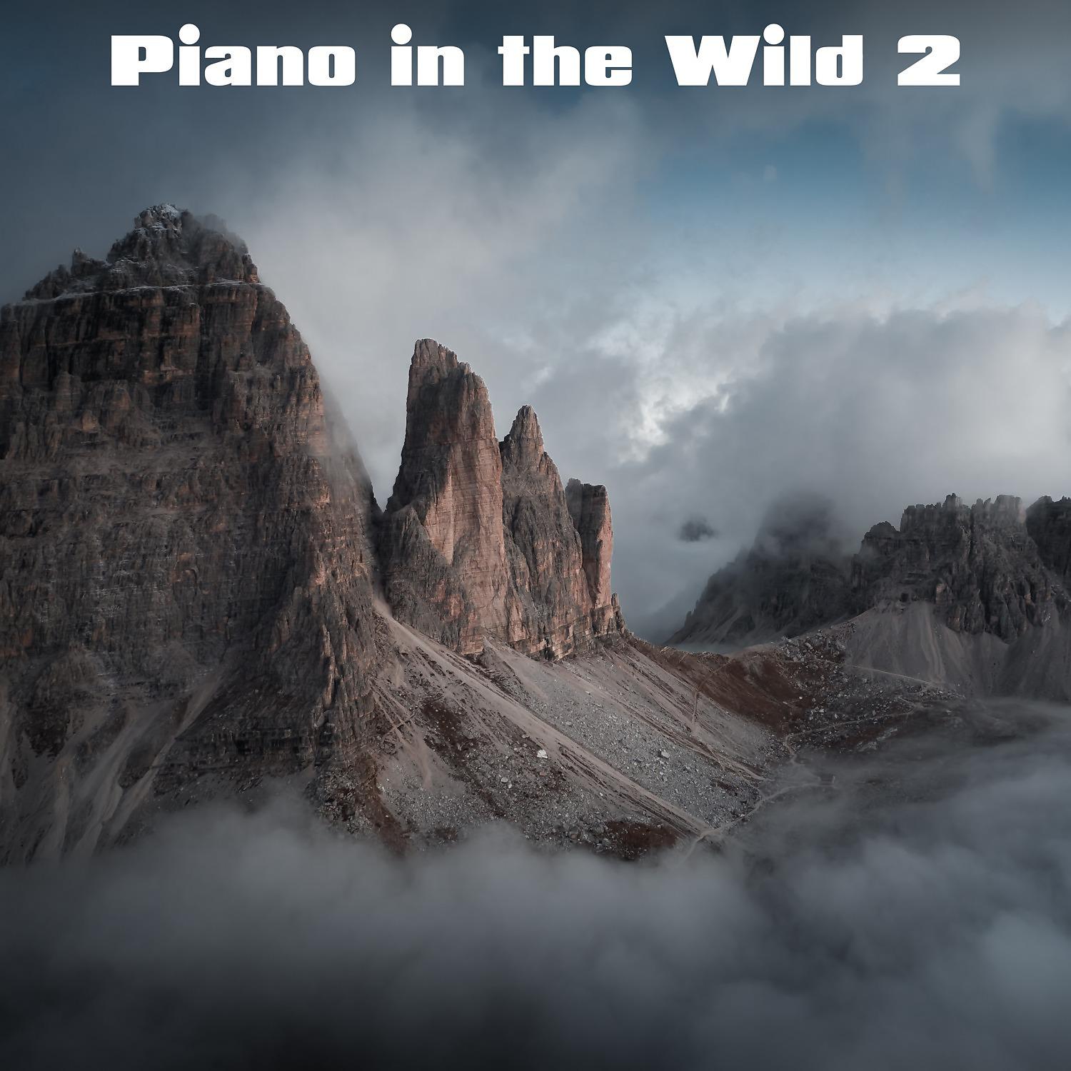 Постер альбома Piano in the Wild, Vol. 2