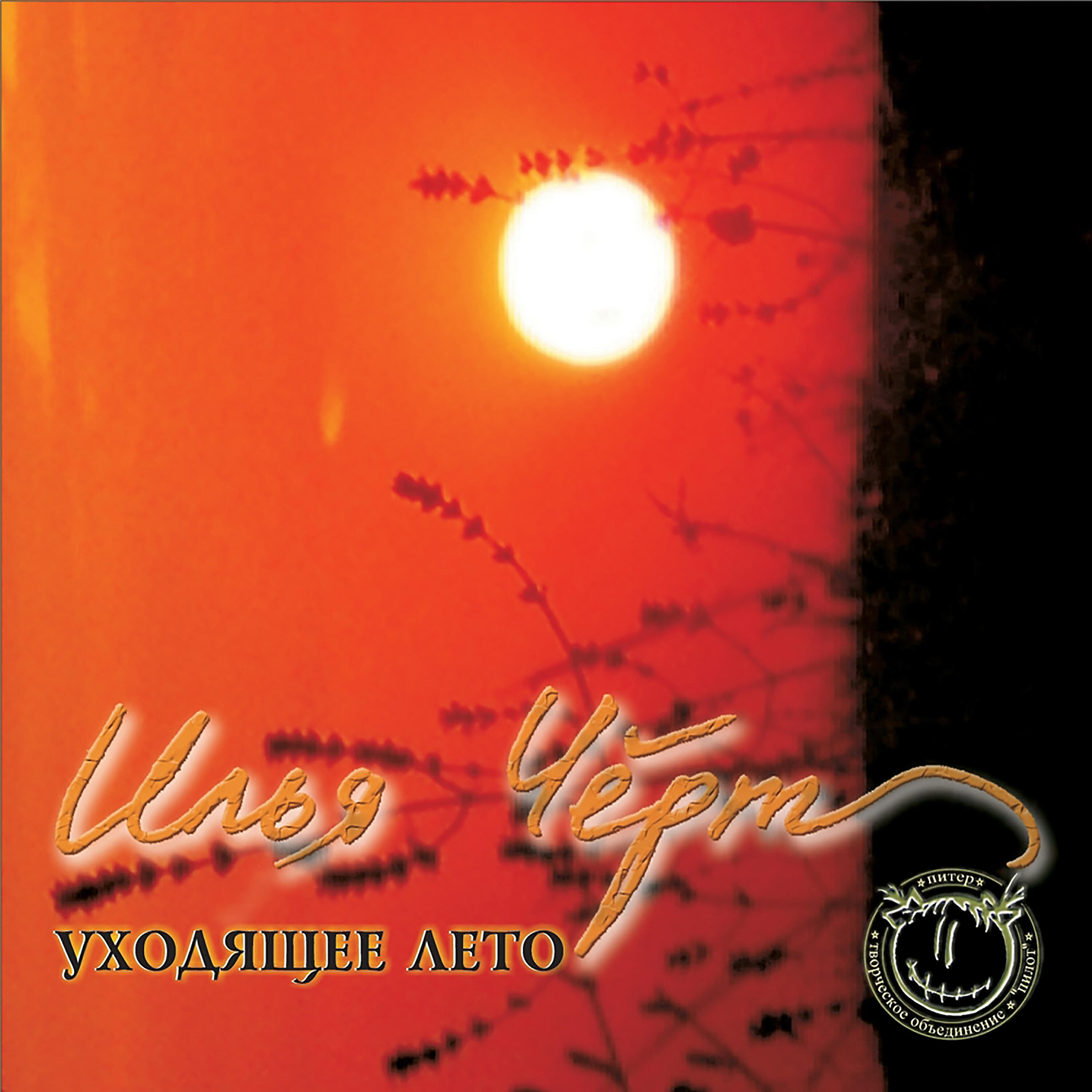 Илья Чёрт - Кто не напуган здешней ночью. Стих