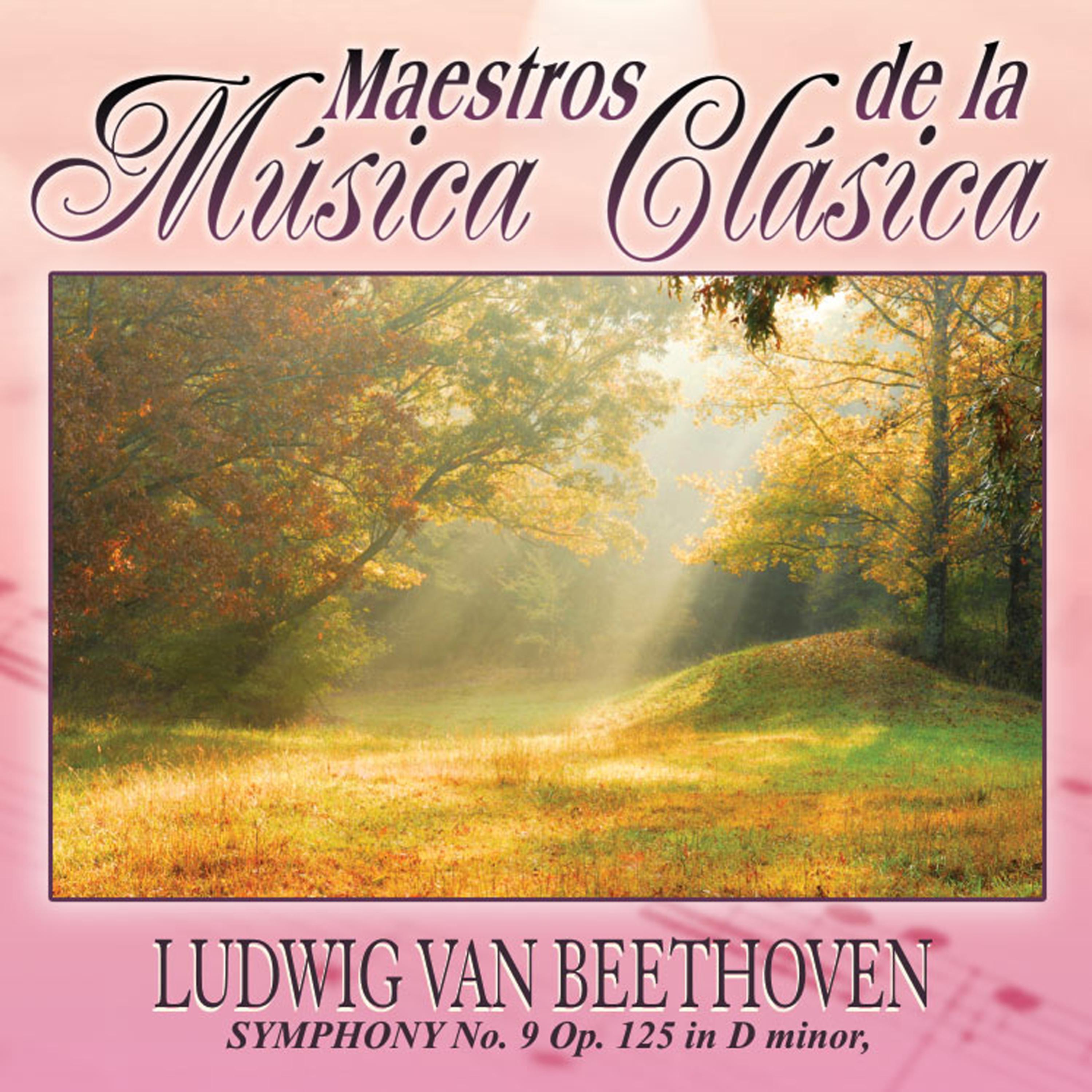 Постер альбома Maestros de la musica clasica - Ludwig Van Beethoven