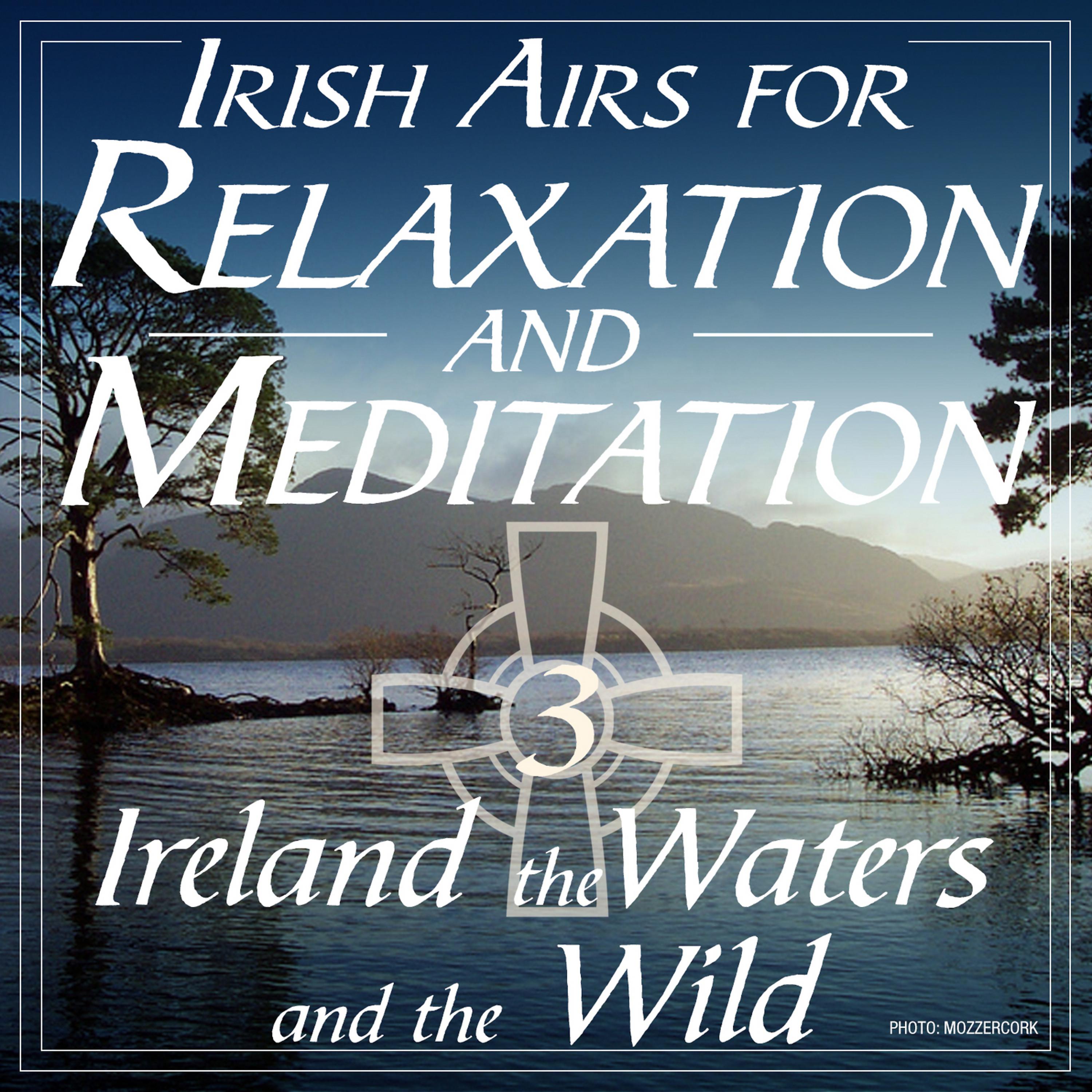 Постер альбома Irish Airs for Meditation and Relaxation - Ireland, The Waters and the Wild, Vol. 3