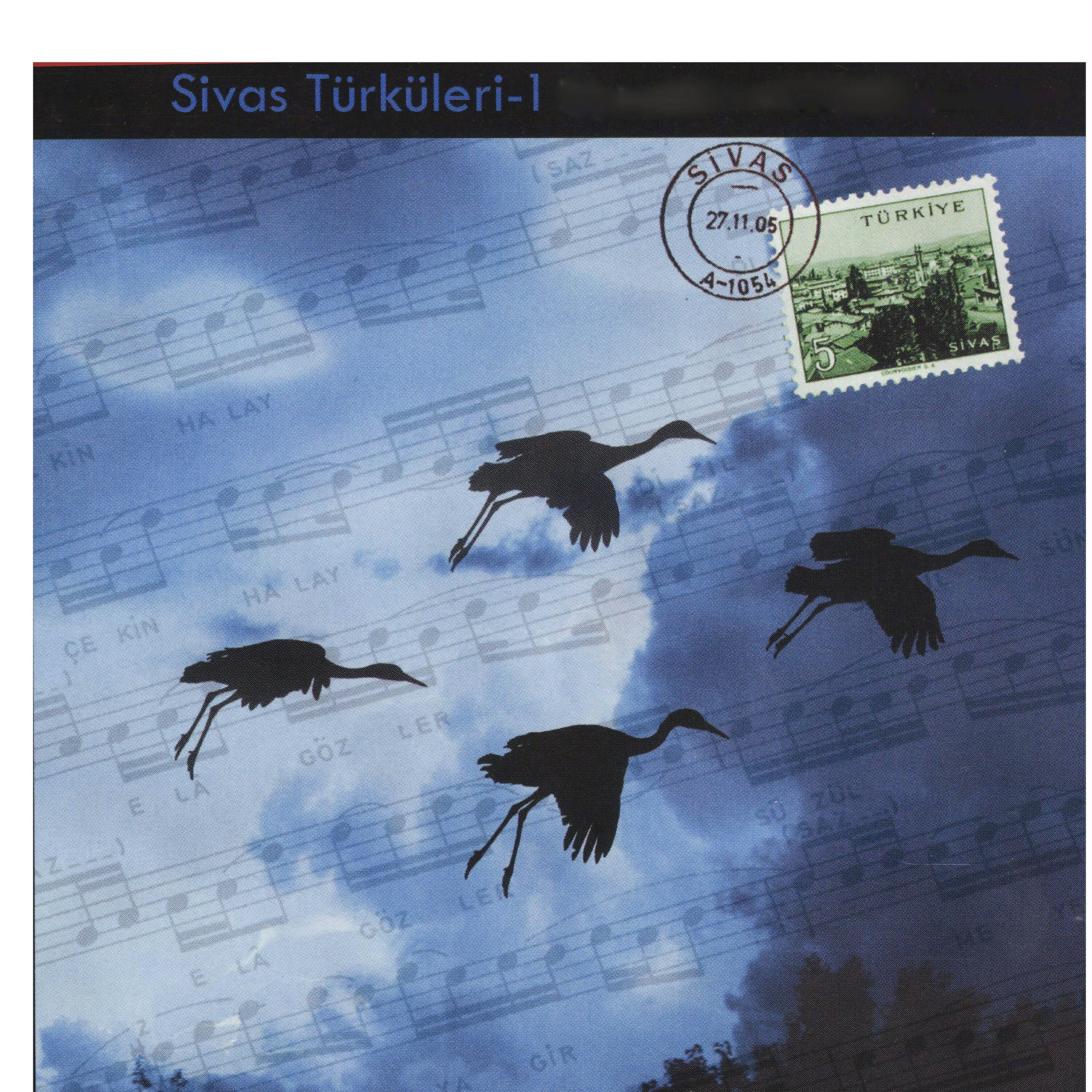 Rahmi İbicek - Çaya İndim Taşı Yok