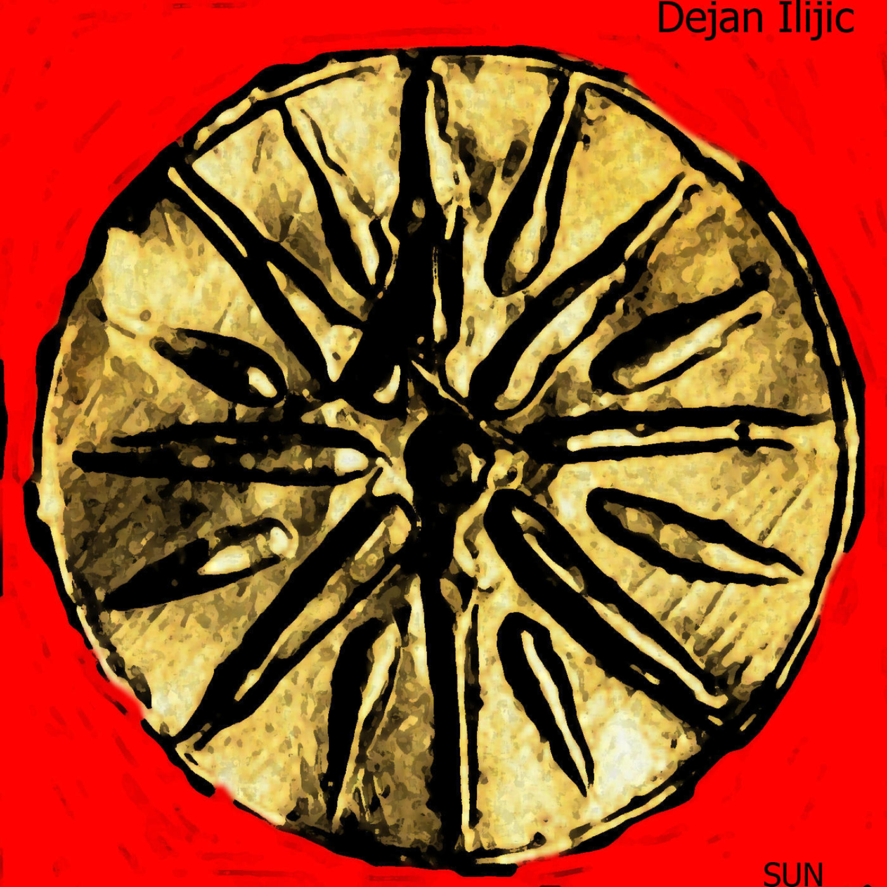 Dejan Ilijic - Biljana Platno Belese