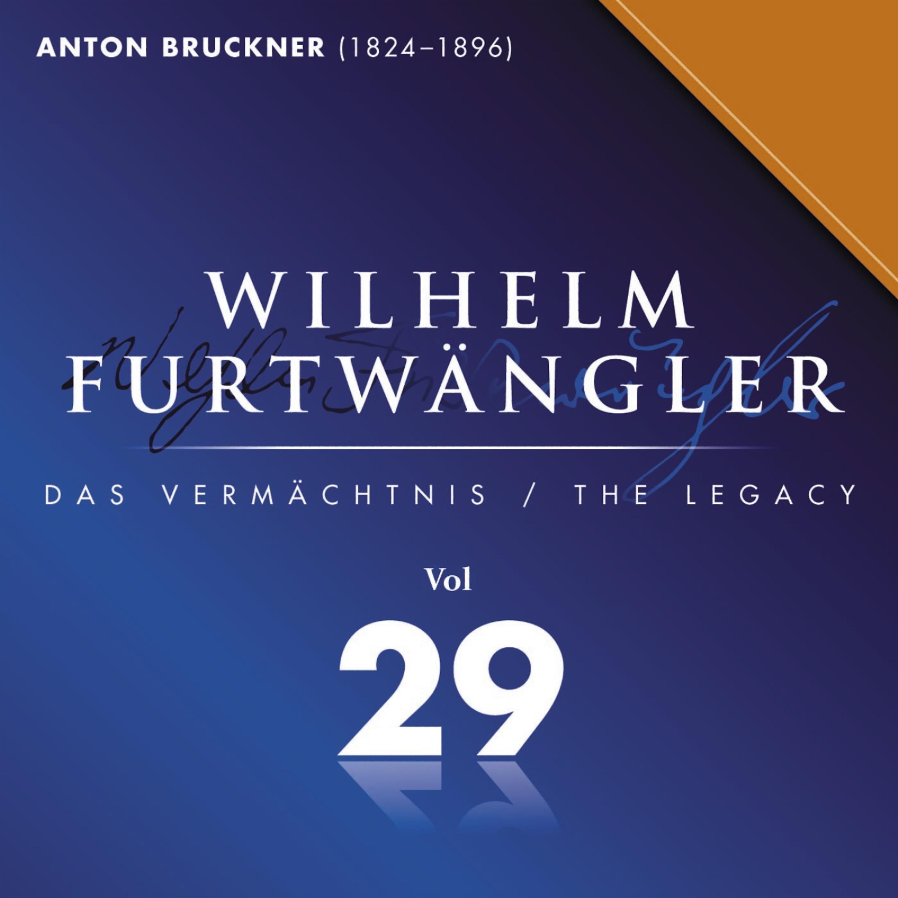 Постер альбома Wilhelm Furtwaengler Vol. 29