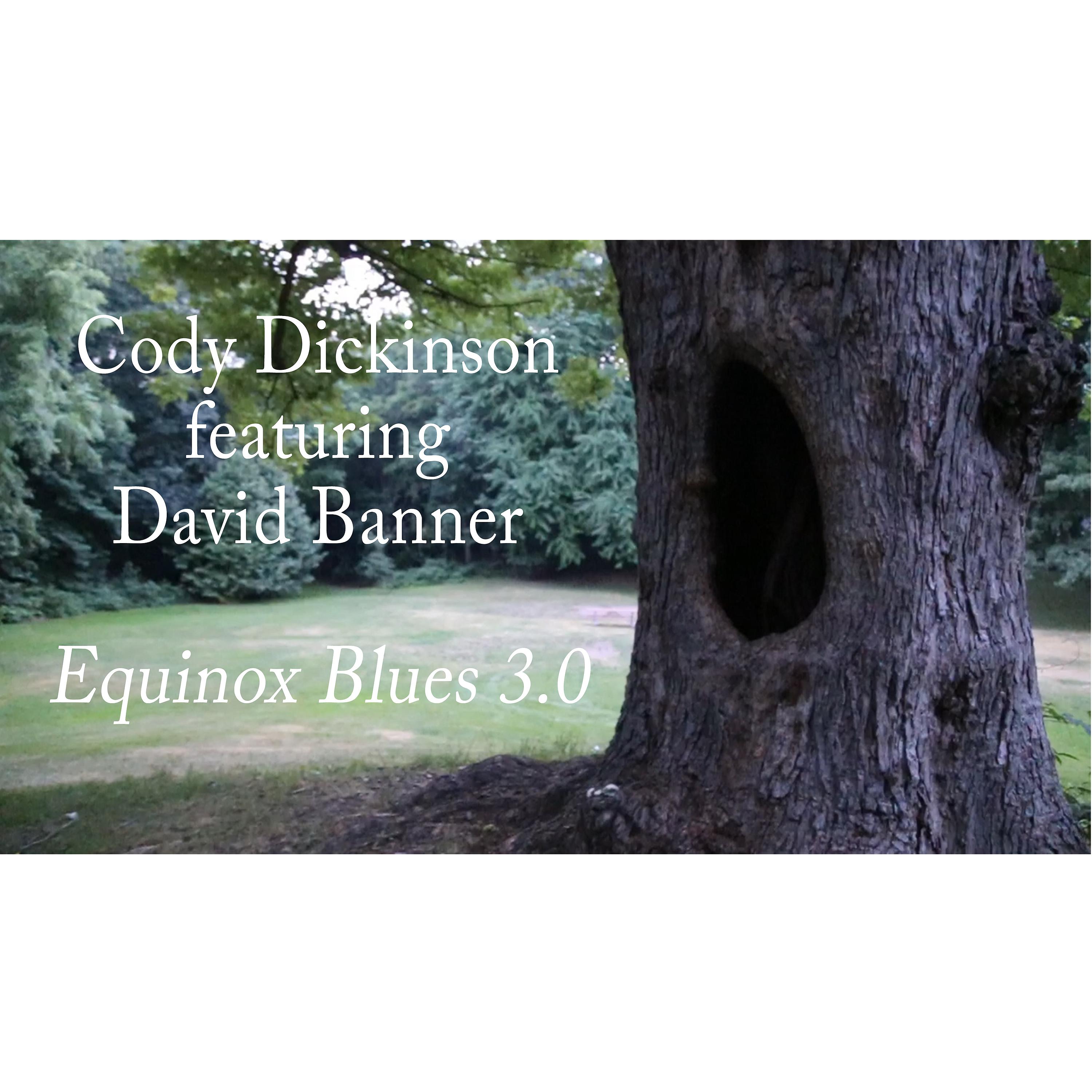 Постер альбома Equinox Blues 3.0