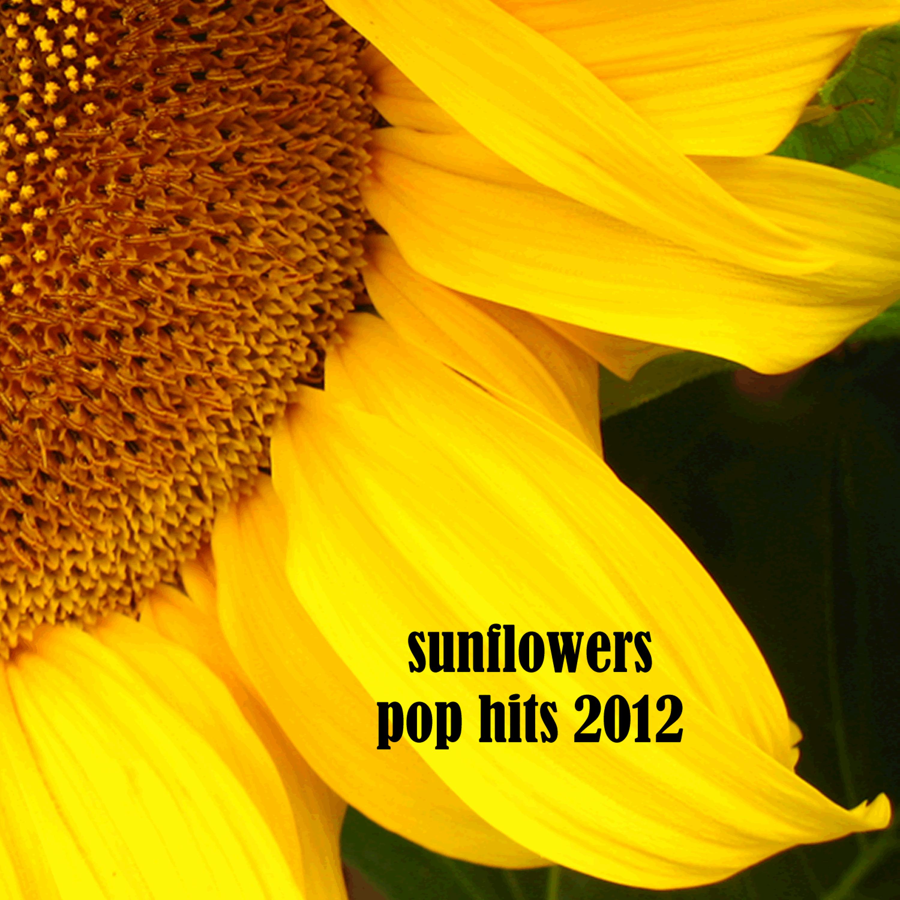 Постер альбома Sunflowers: Pop Hits 2012