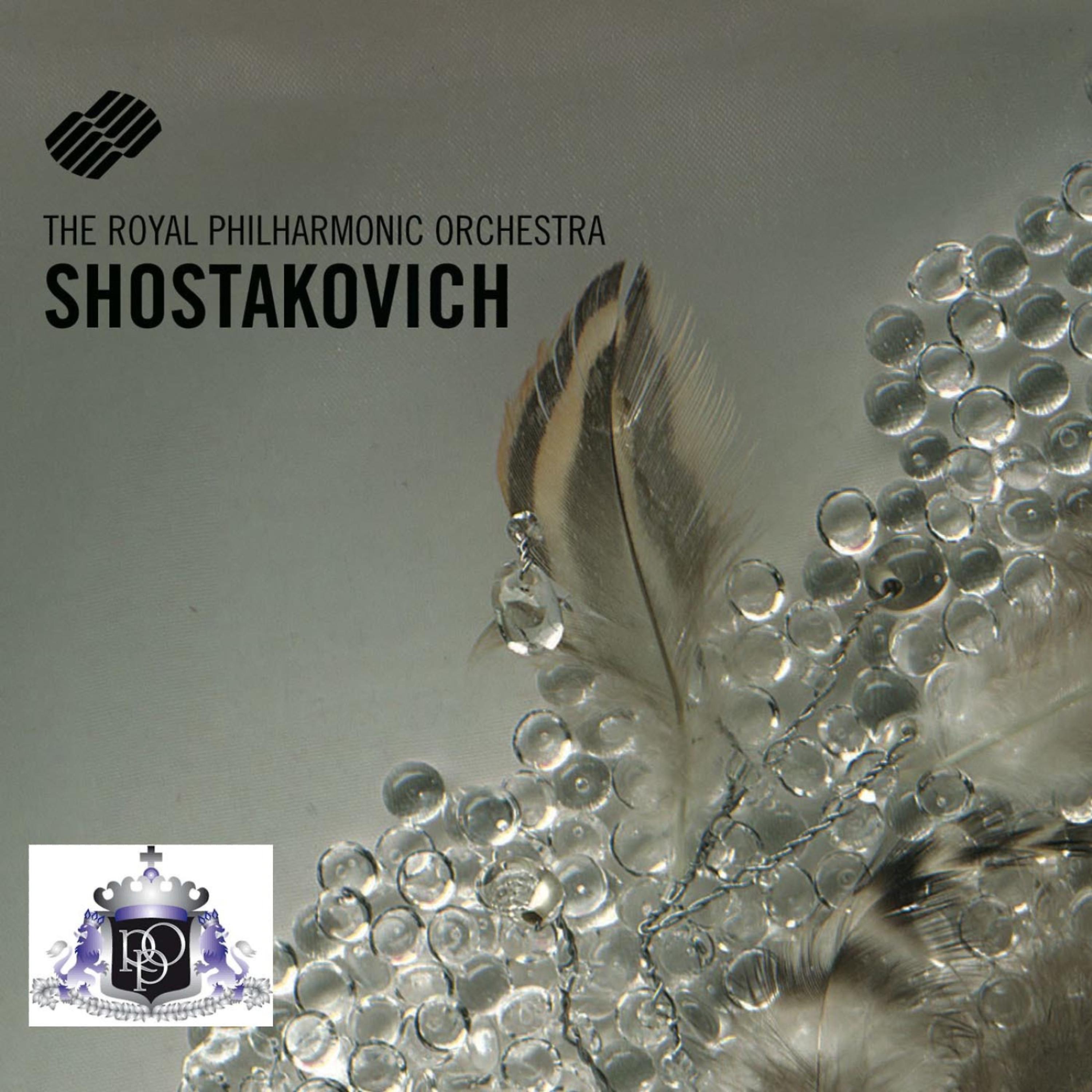 Постер альбома Dmitri Schostakowitsch