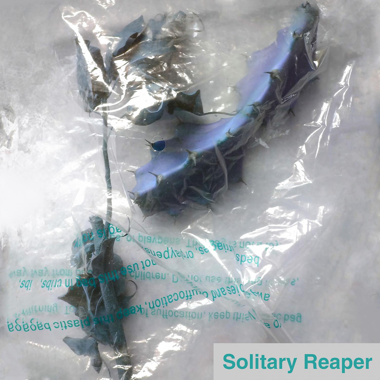 Постер альбома Solitary Reaper