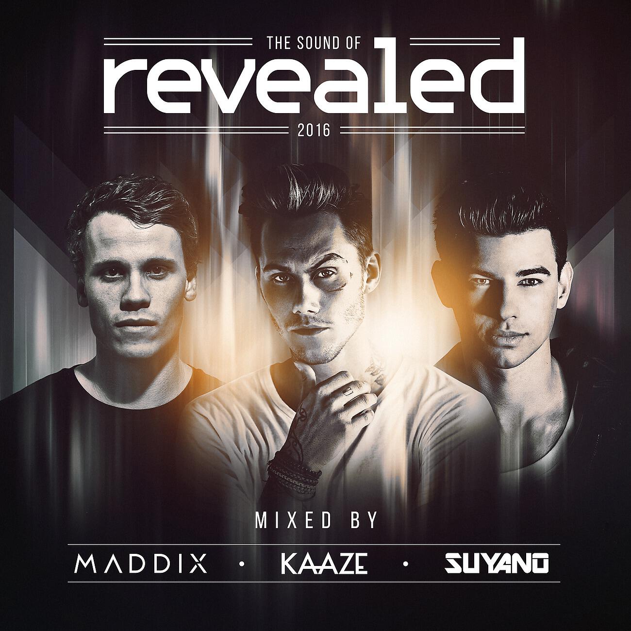 Hardwell - Calavera (Mix Cut)