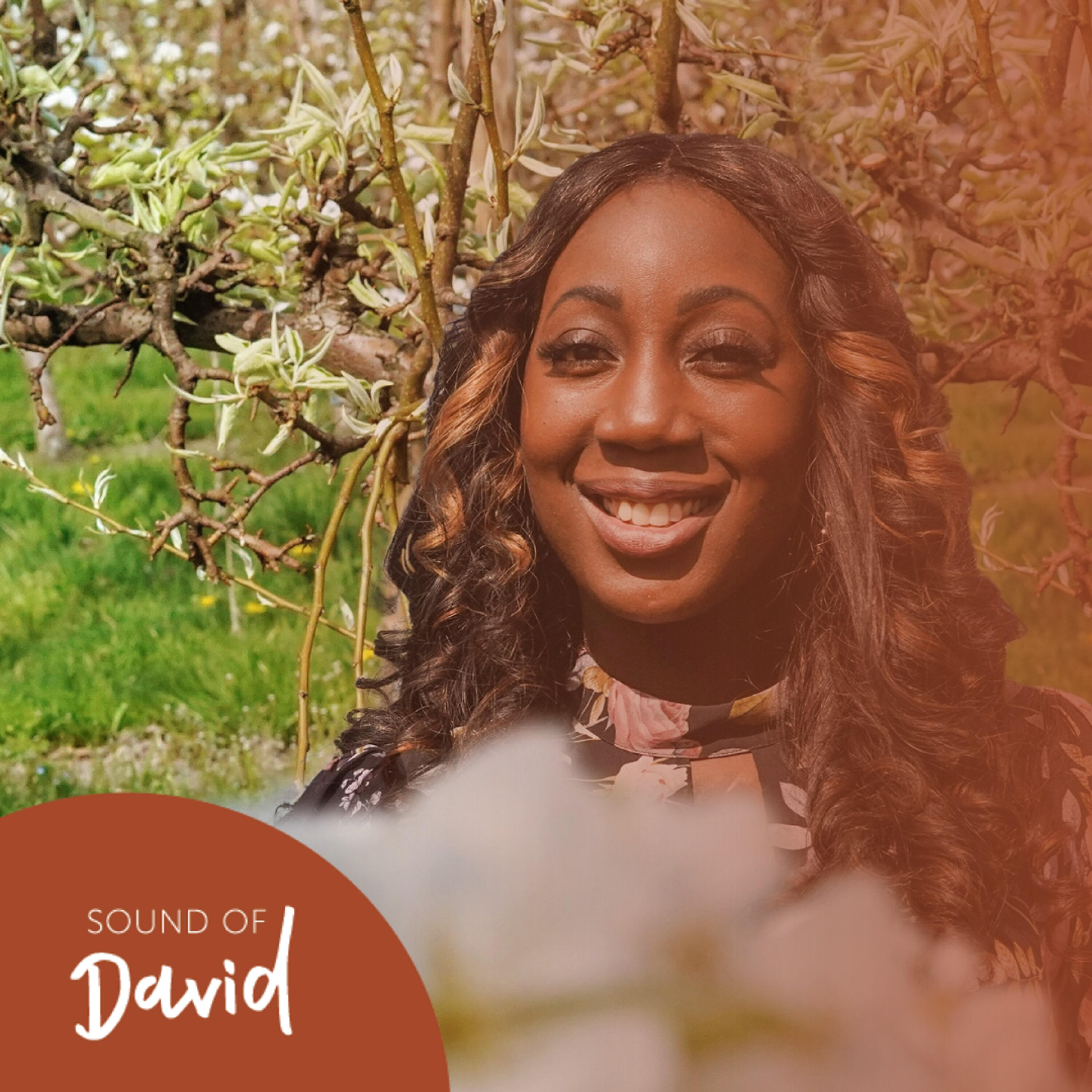 Sound of David - Ik hou van jou