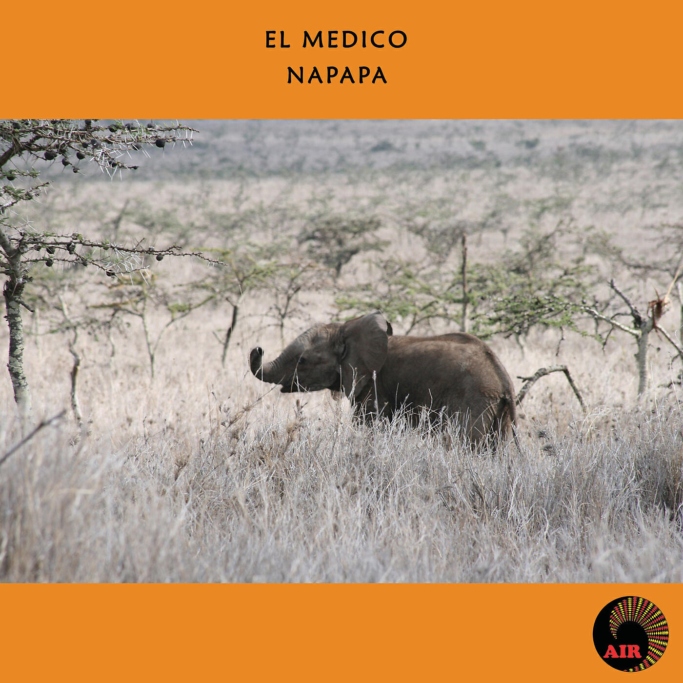 El Medico - Matatu