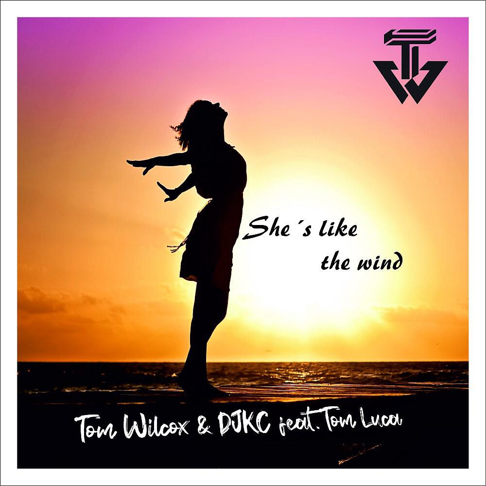 Tom Wilcox - She's Like the Wind (Original Mix)