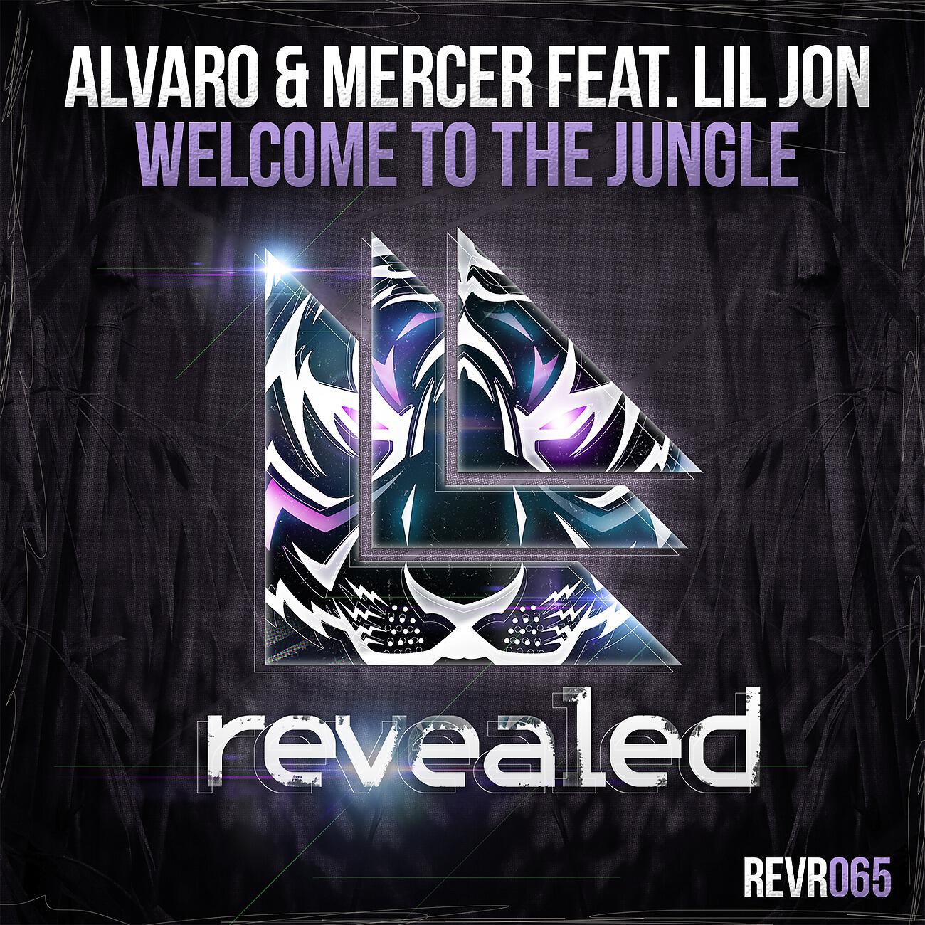Alvaro - Welcome To The Jungle (Original Mix)