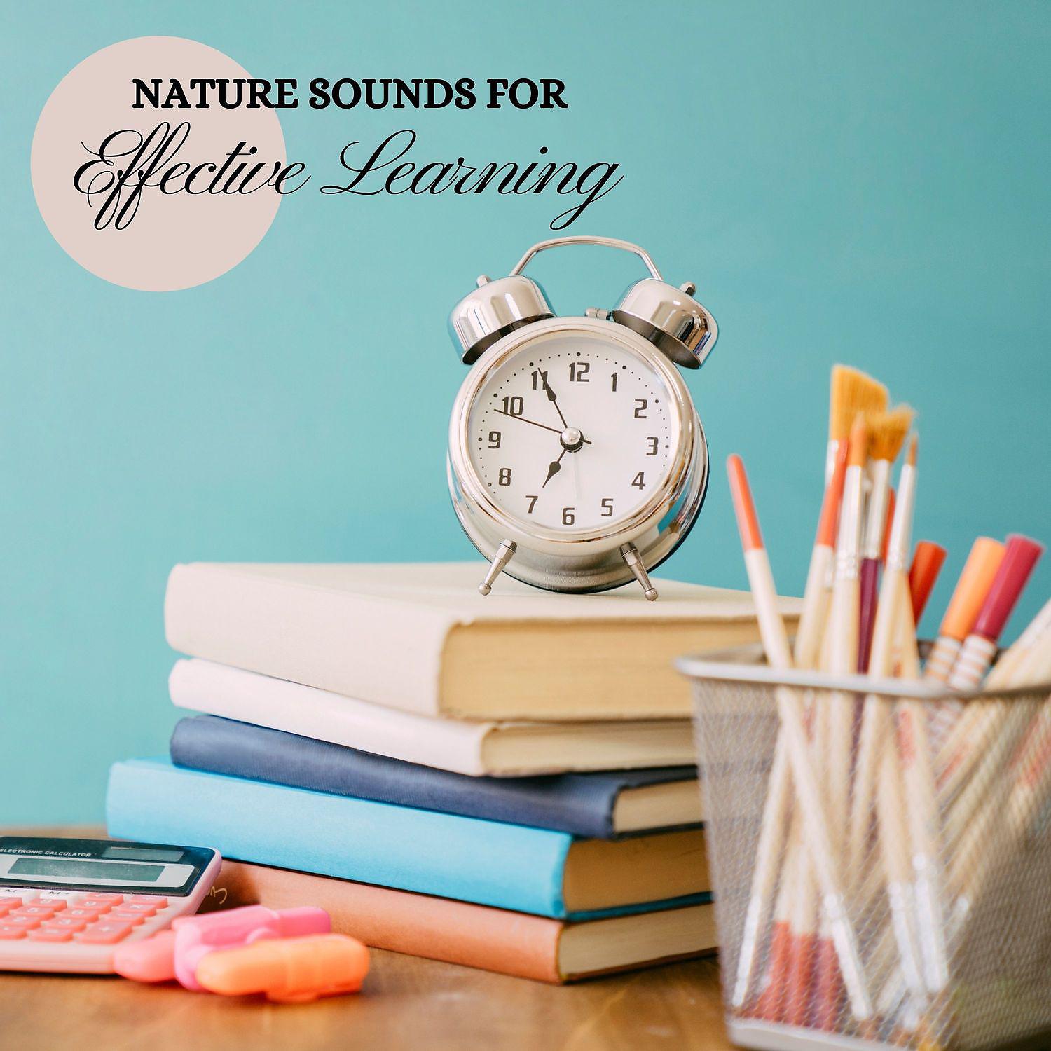 Постер альбома Nature Sounds for Effective Learning – Studying at Home