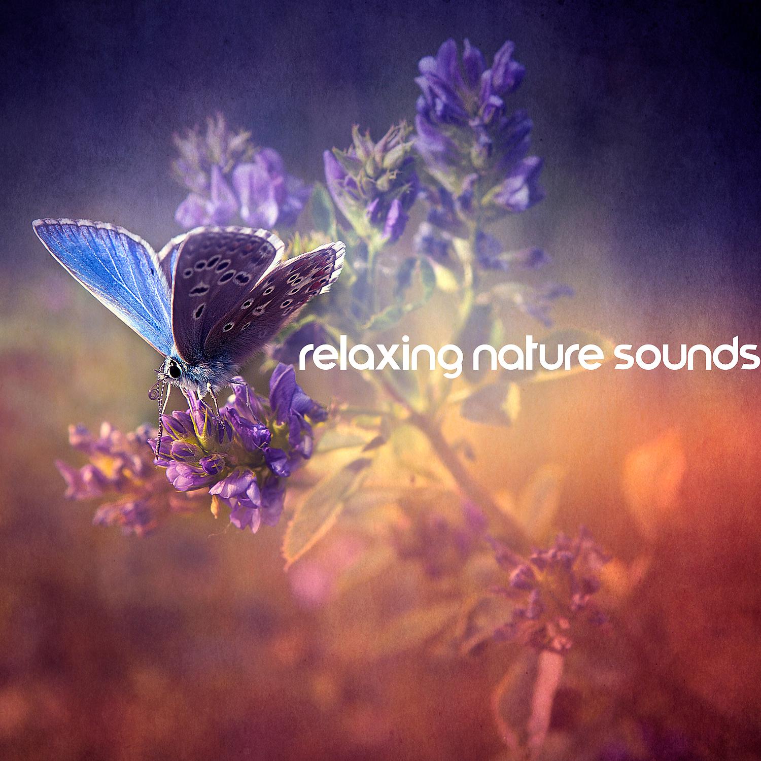 Постер альбома Relaxing Nature Sounds: New Age Music for Meditation & Relaxation with Nature