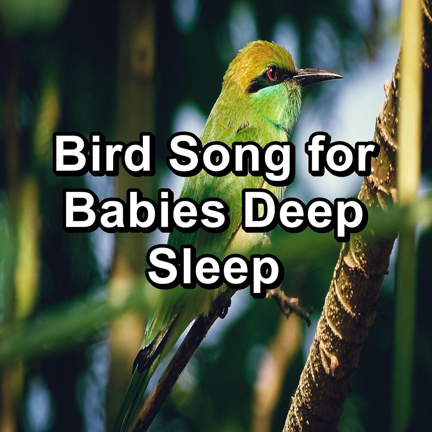 Ocean Waves for Deep Sleep - Relaxing Bird Sounds Cozy Day and Night To Help with Relaxing