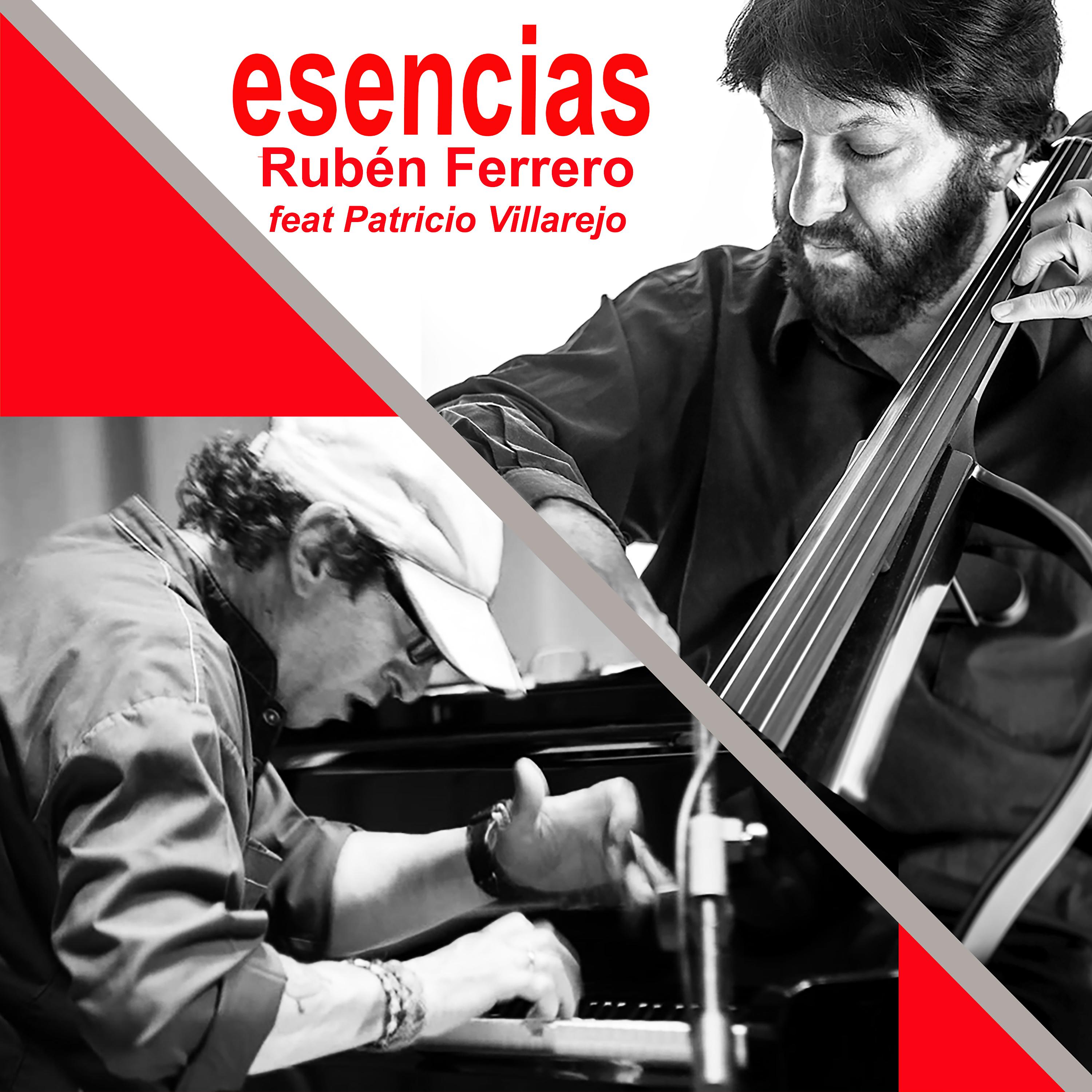 Постер альбома Esencias