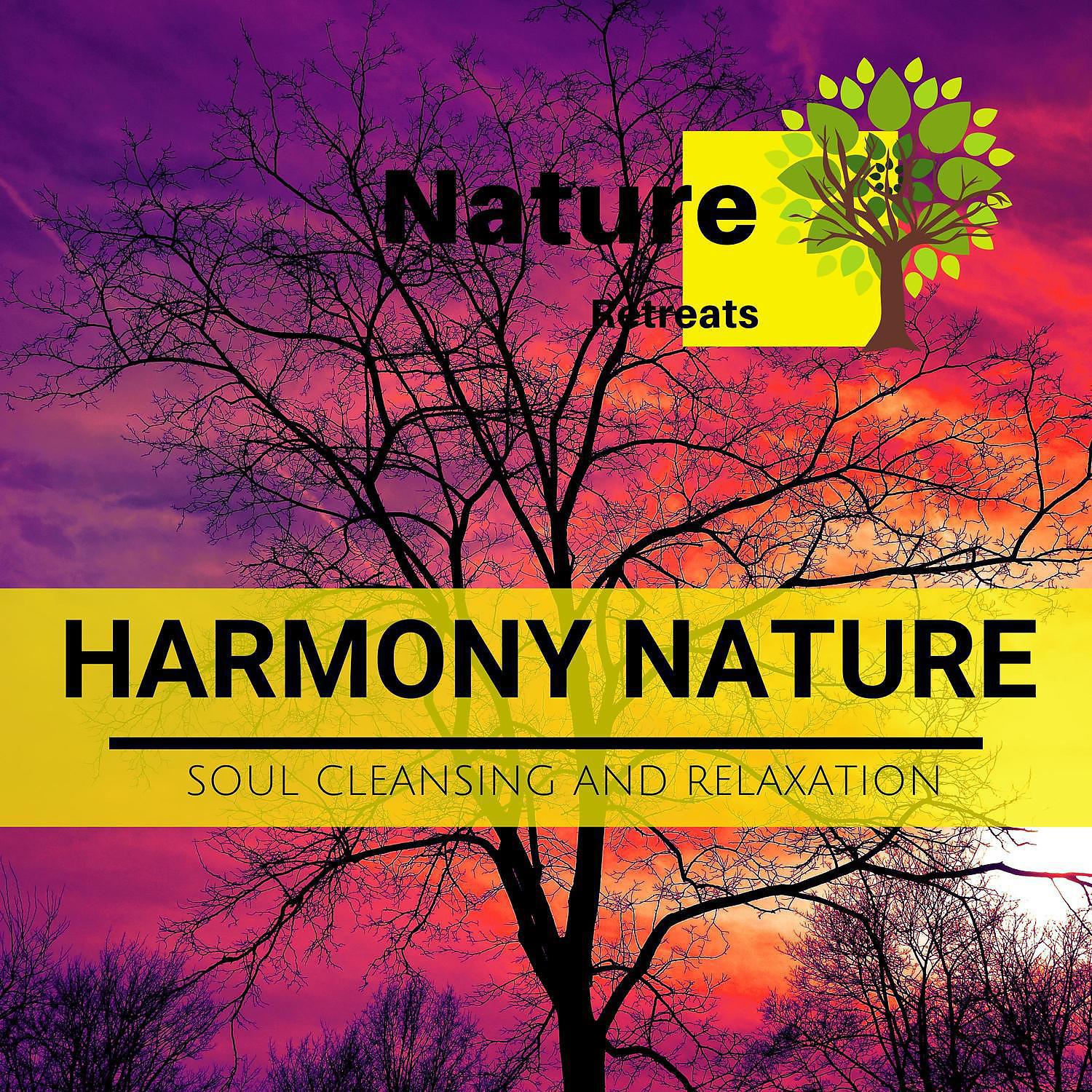 Постер альбома Harmony Nature - Soul Cleansing and Relaxation