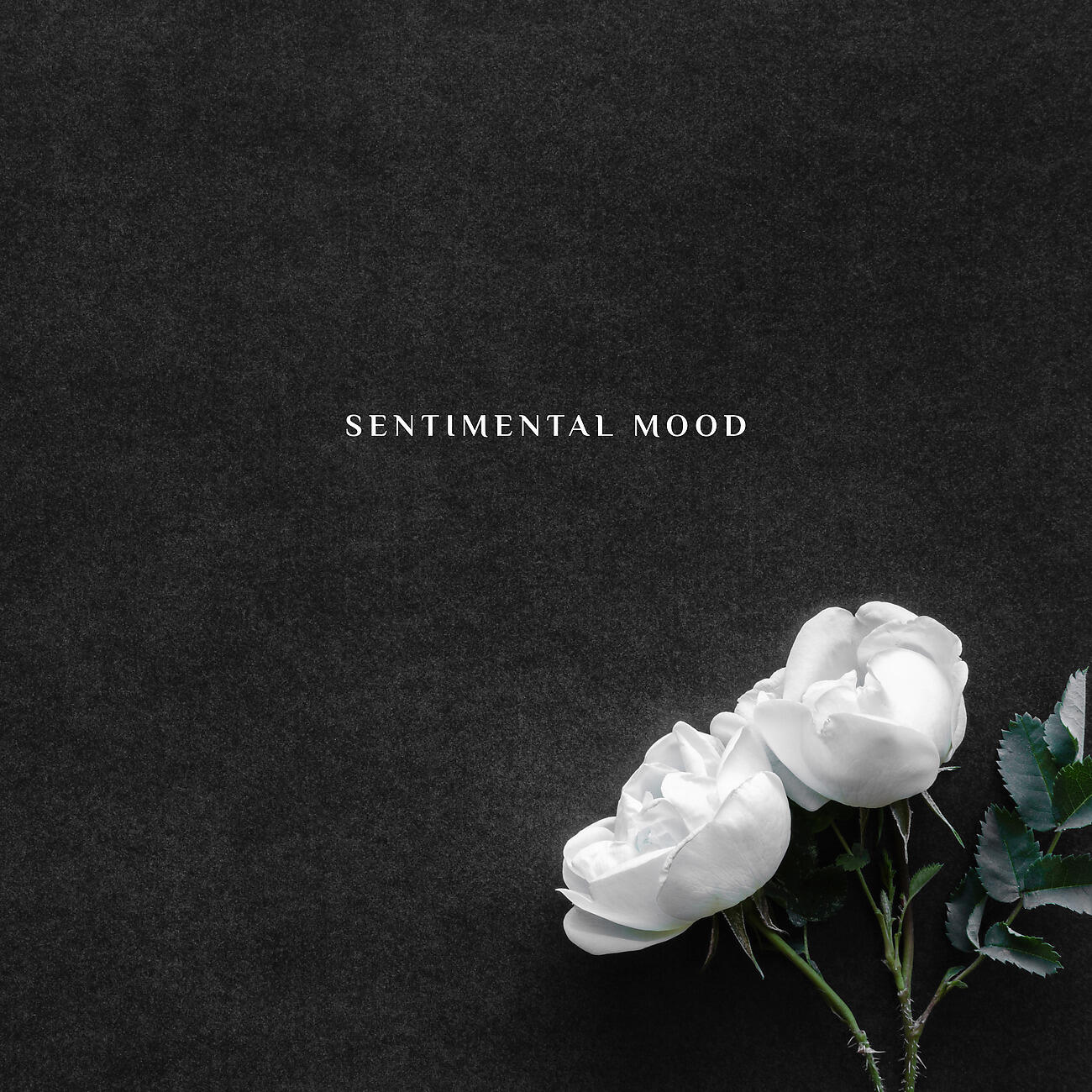 Sentimental Piano Music Oasis - Smooth Mood