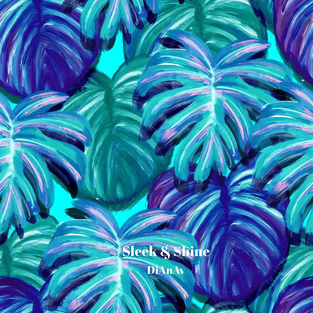 DiAnAv - Sleek & Shine