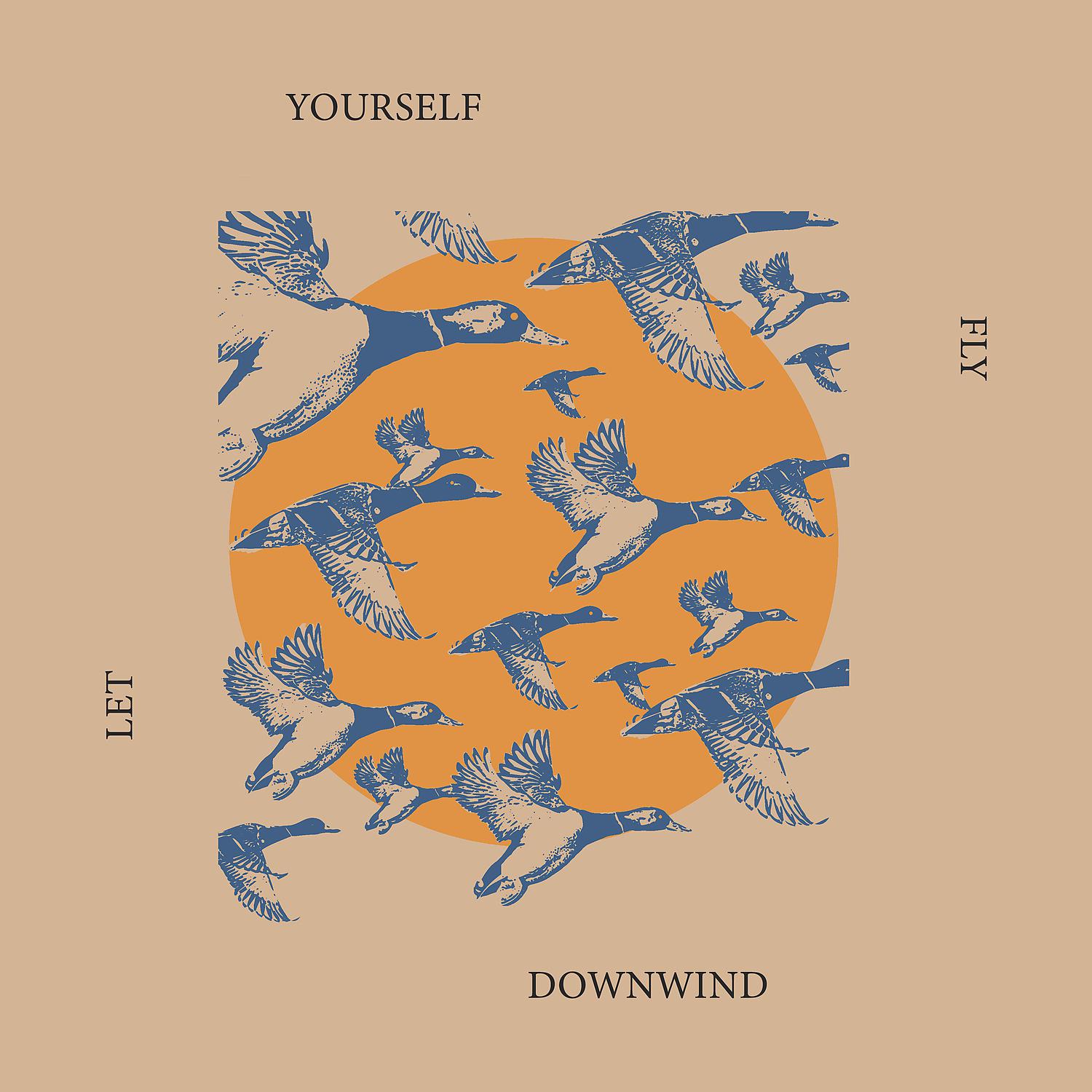 Постер альбома Let Yourself Fly Downwind: Rock Invasion, Stimulative Indie Rock