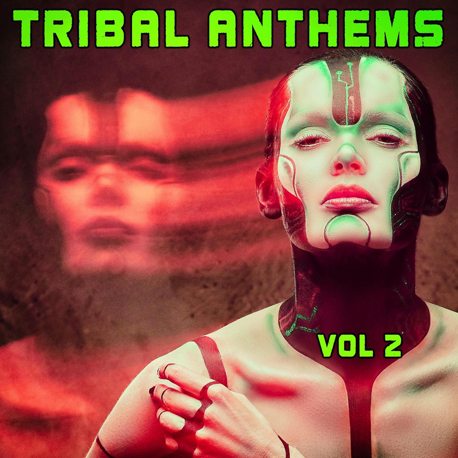 Постер альбома Tribal Anthems, Vol. 2