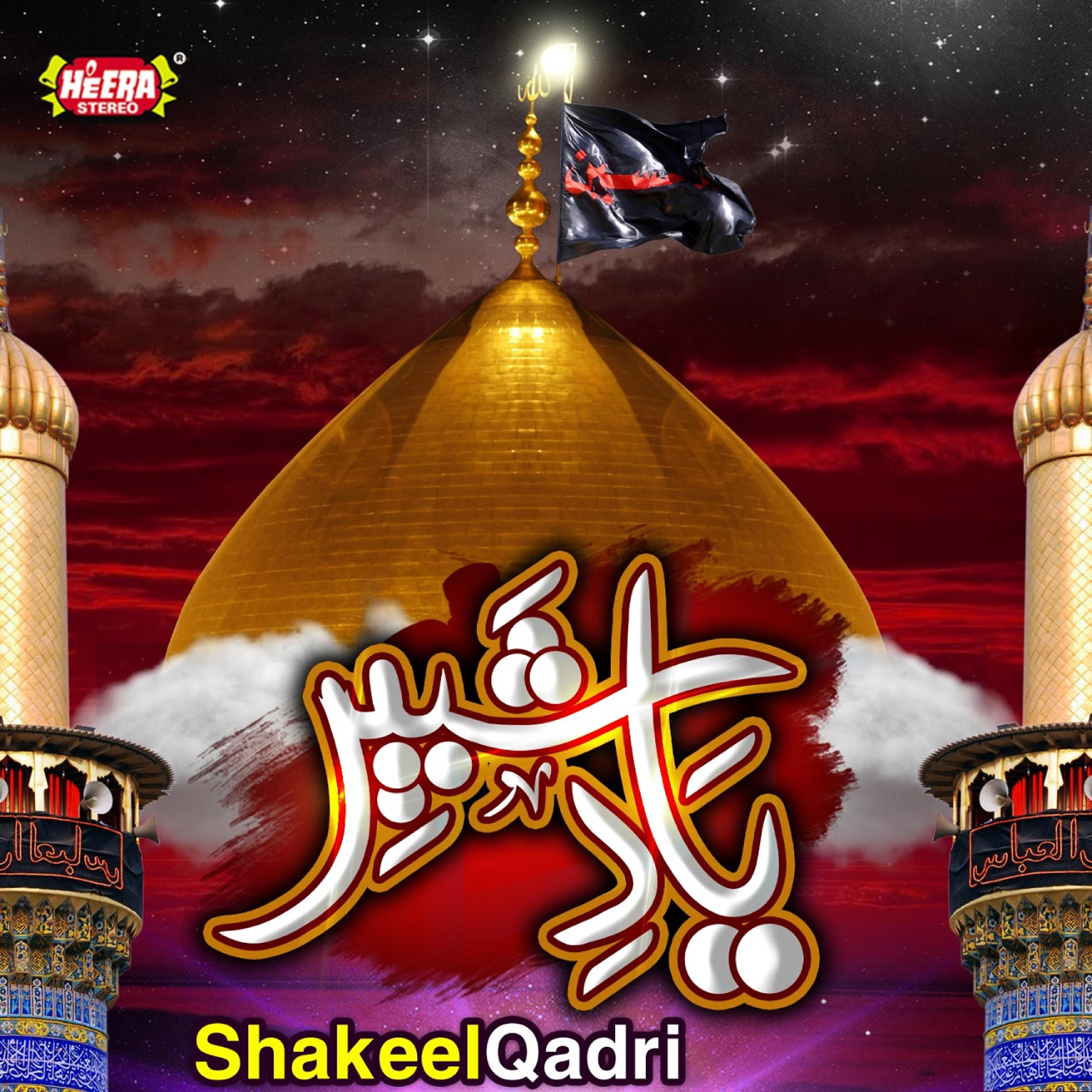 Постер альбома Yaad E Shabbir