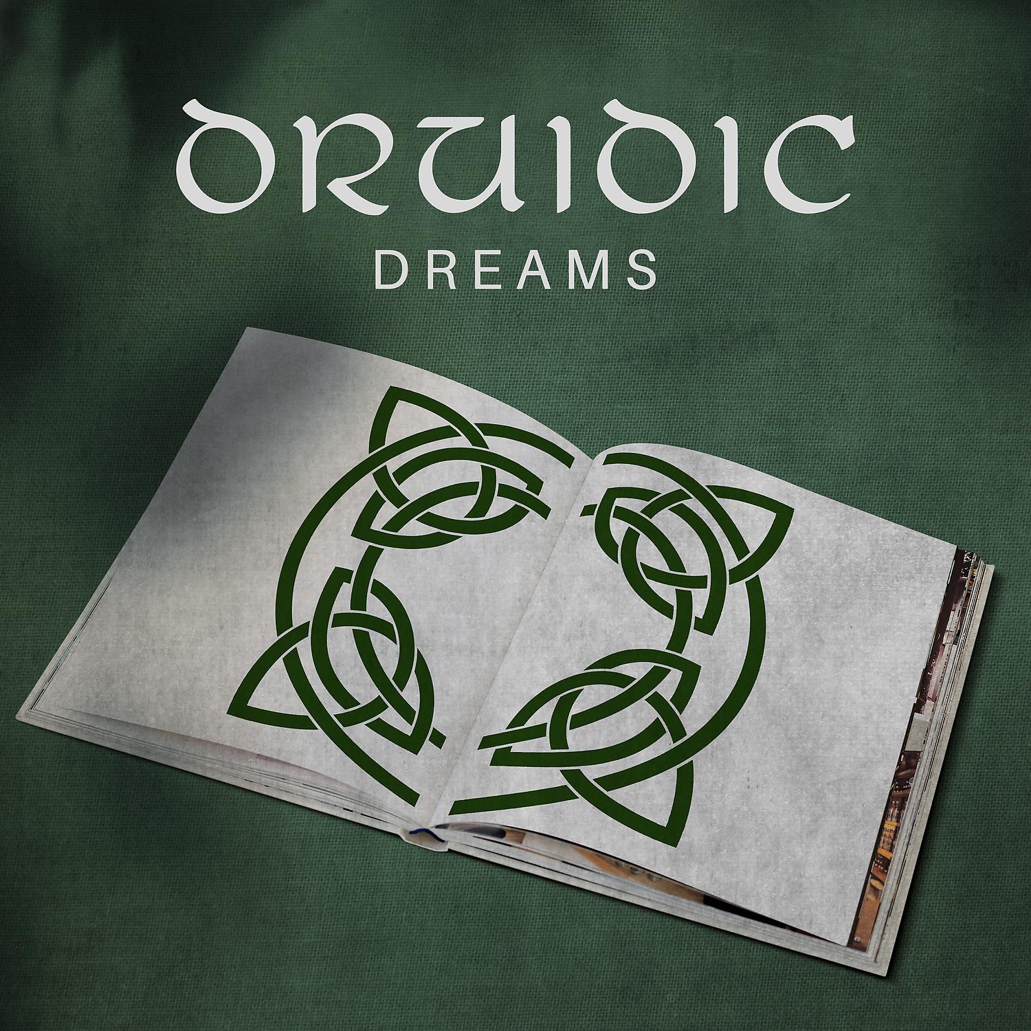 Постер альбома Druidic Dreams: Celtic Music for Study, Concentration & Brain Power (Celtic Harp, Irish Flute)