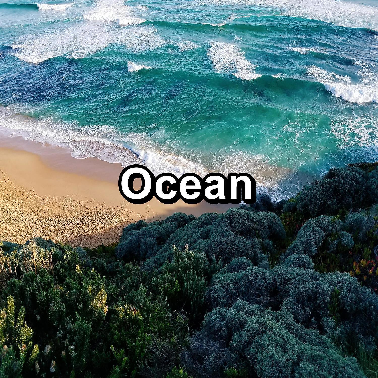 Ocean Waves Sleep Aid - Relaxing Ocean Sounds Soothing Sounds Relaxing and Loopable 10 Hours